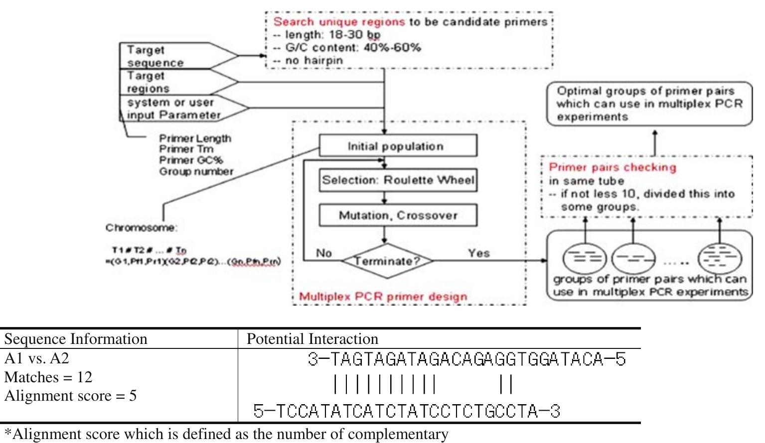 Figure 2 - ORIGINAL PAPER Primer design for multiplex PCR