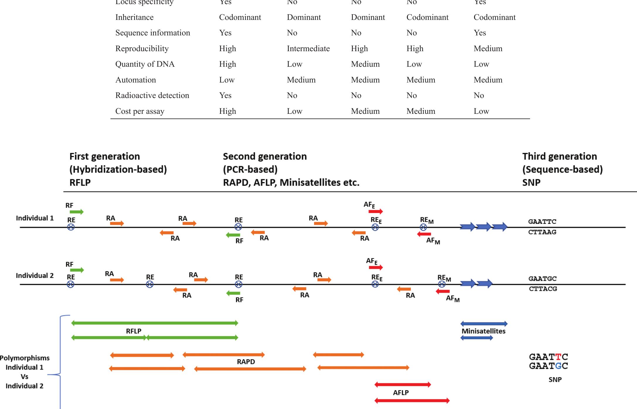 (PDF) Assessment of plant genetic variations using molecular markers: A ...