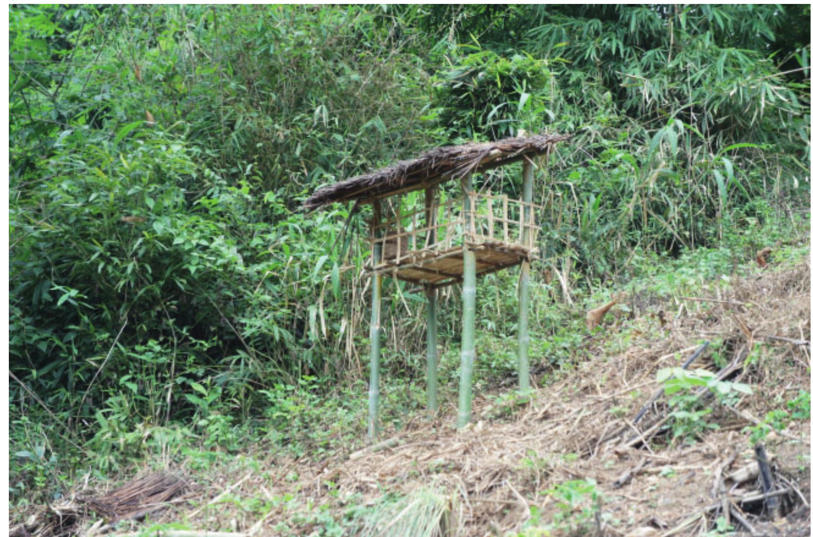 Figure 5. Villagers propitiate skil at the forest-fallow. edge, where animals and spirits are encountered in an ambiguov domestic-wild space.  