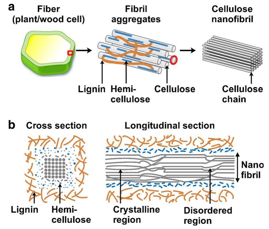 Figure 1 - from Cellulose and its derivatives: towards