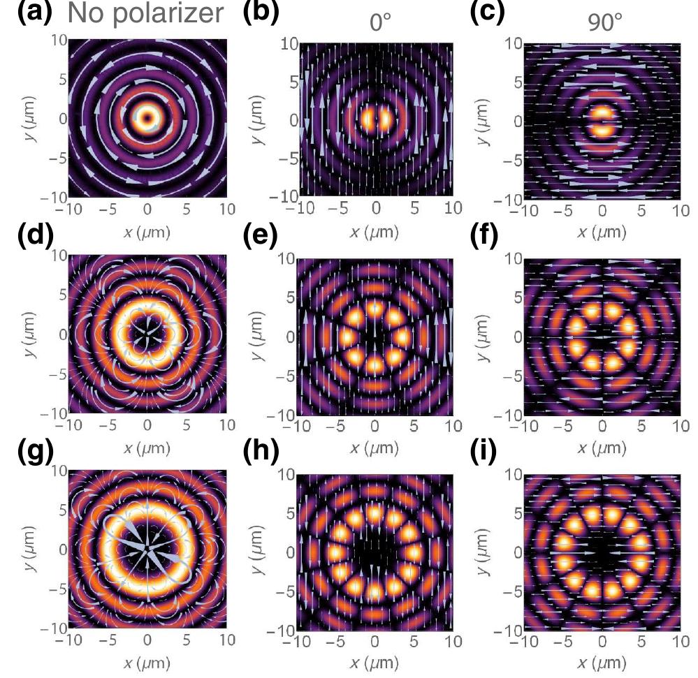 Figure 6 - from High-Order Vector Bessel-Gauss Beams for