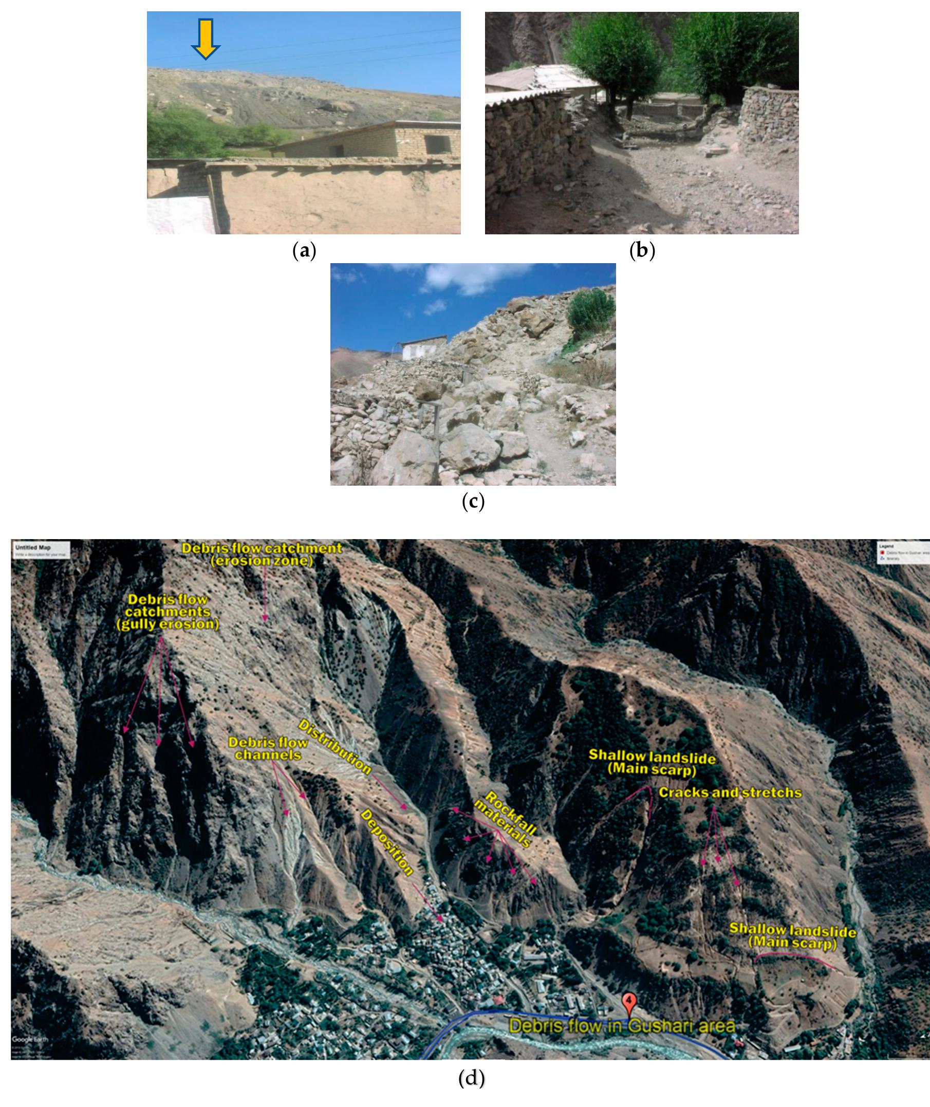 Illustration of landslides revealed by field survey and