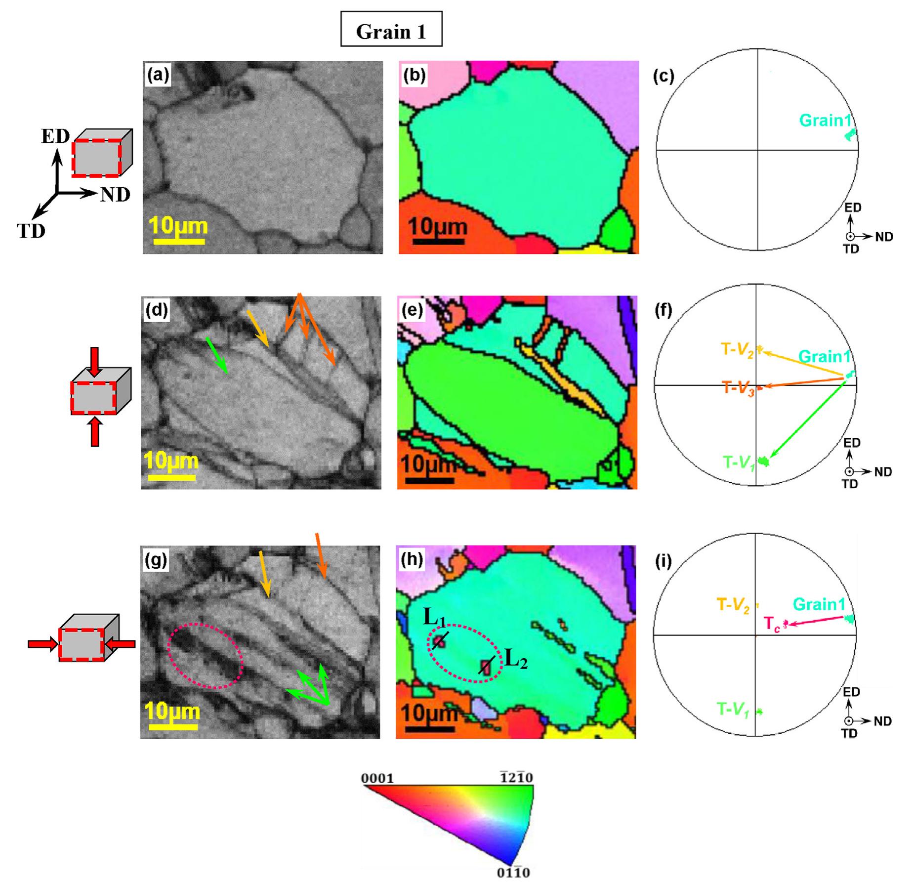 Magnified ebsd band contrast maps, orientation maps, and the