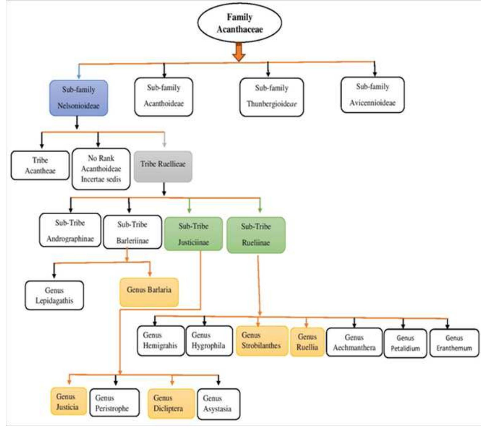 Sinuate Example (PDF) Ethnobotany and Medicinal Uses of Folklore Medicinal Plants ...