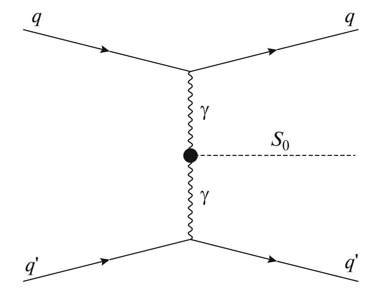 Photon fusion feynman diagram. the so particle can then