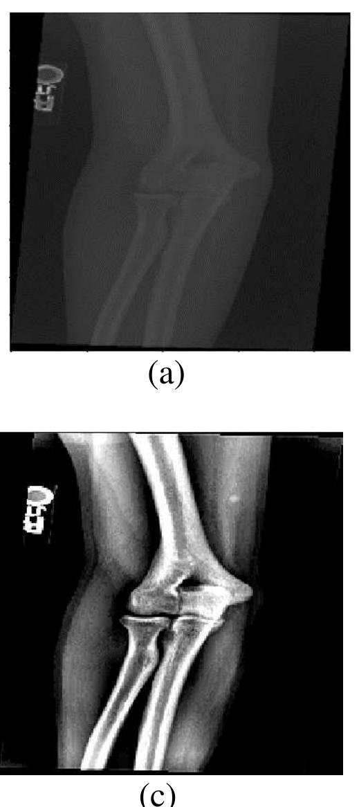 Image preprocessing: a, b original images and c, d images