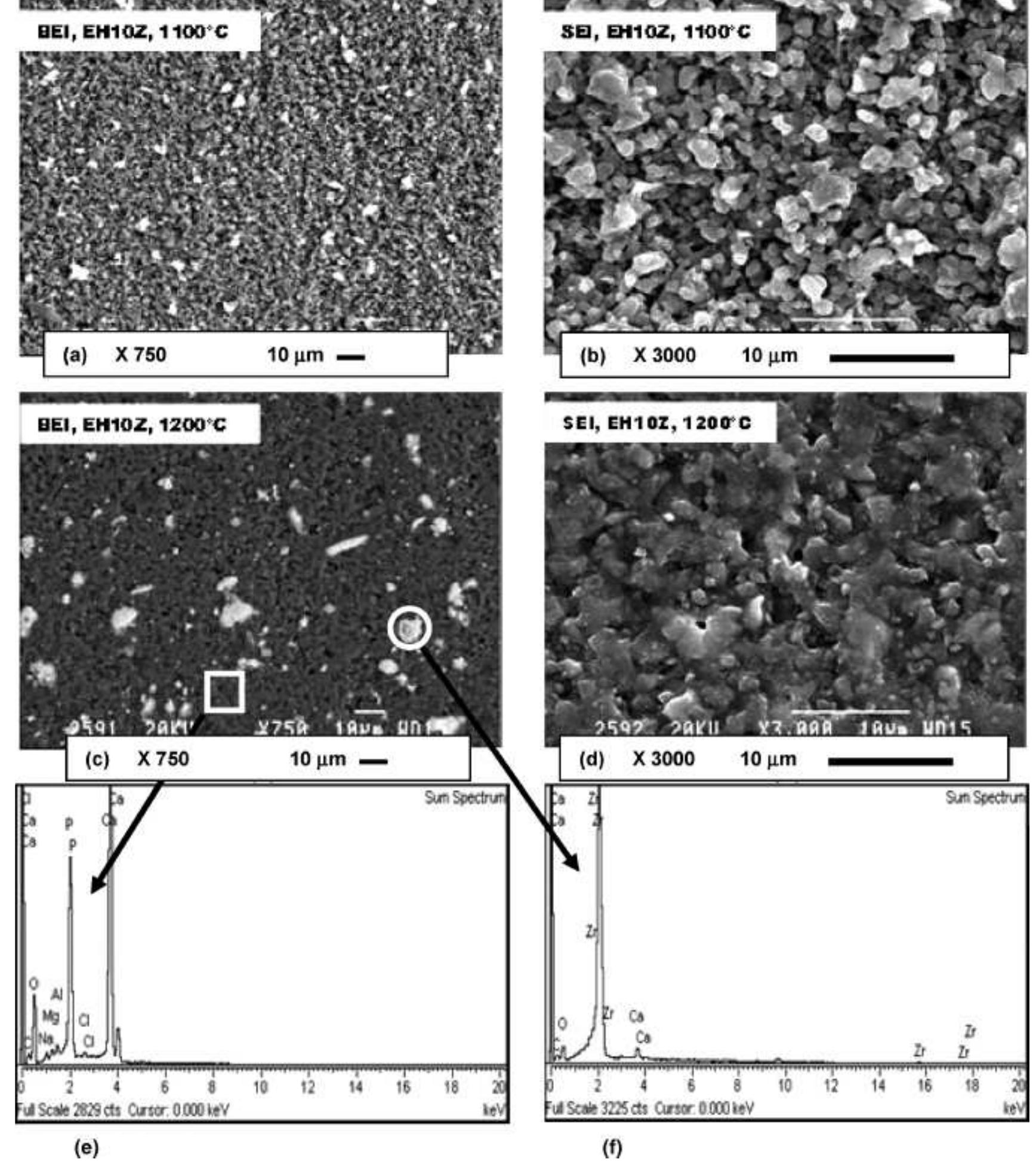 Scanning electron micrographs of eha10z series sintered at: