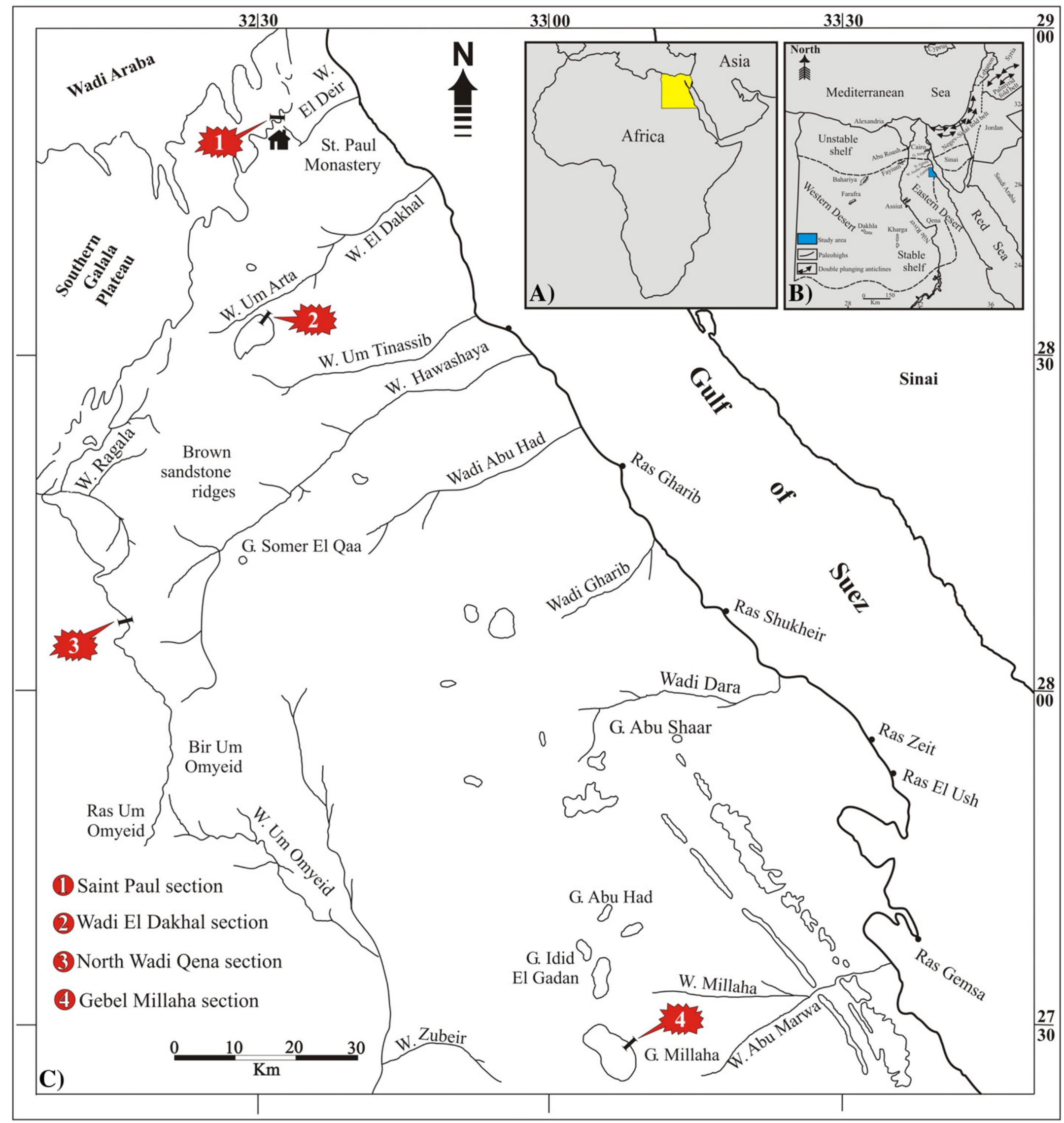 (PDF) The impact of the Syrian Arc Orogeny on the Early Paleogene rocks ...