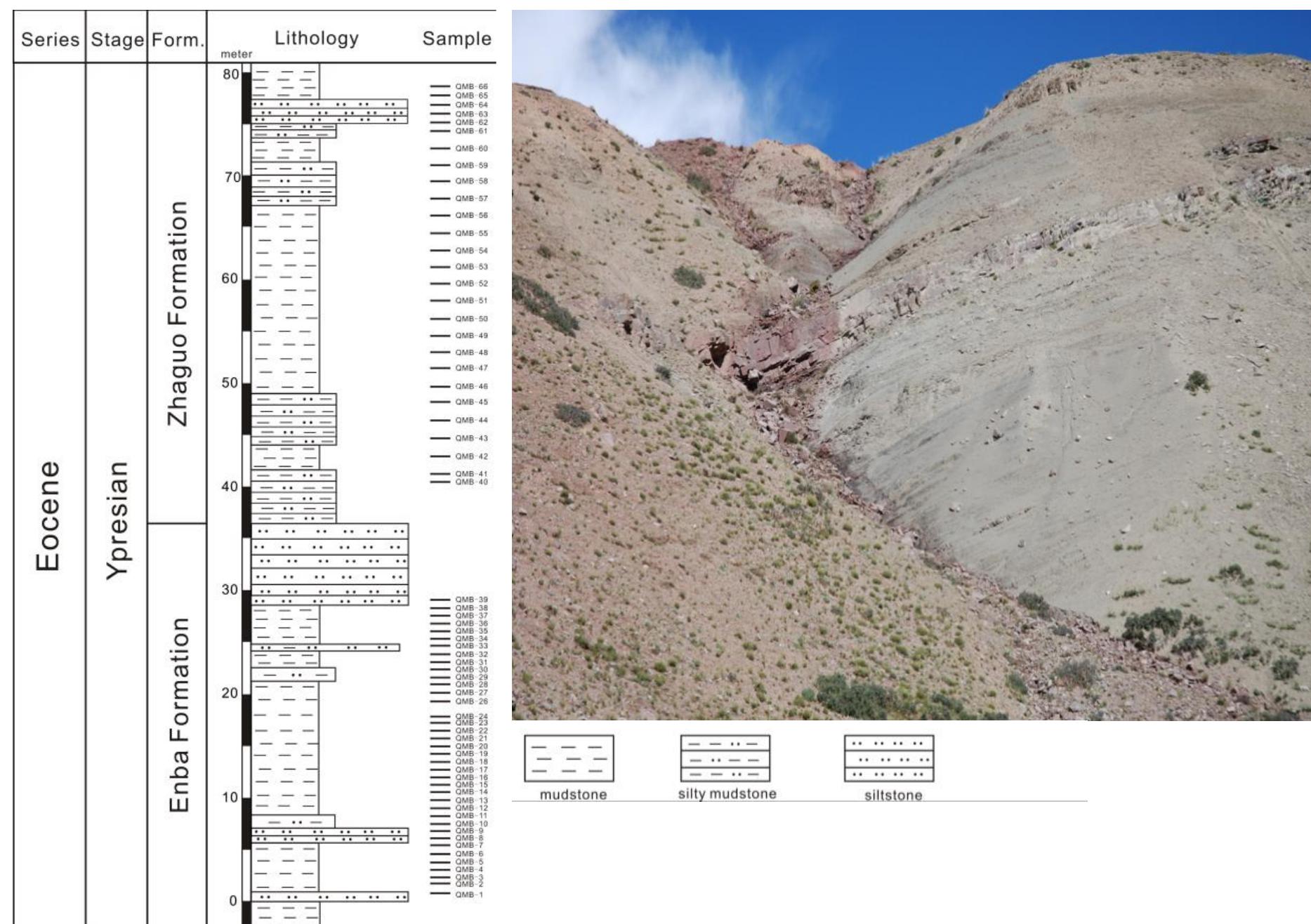 (PDF) Paleoenvironment Reconstruction of the Eocene Southeastern Tethys ...