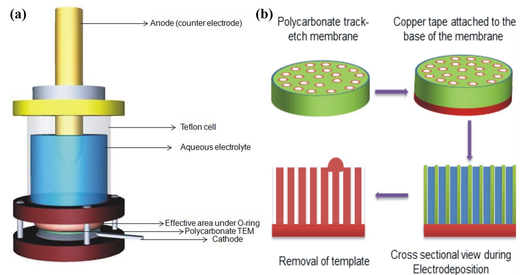 Schematic representation of a electrochemical cell used for