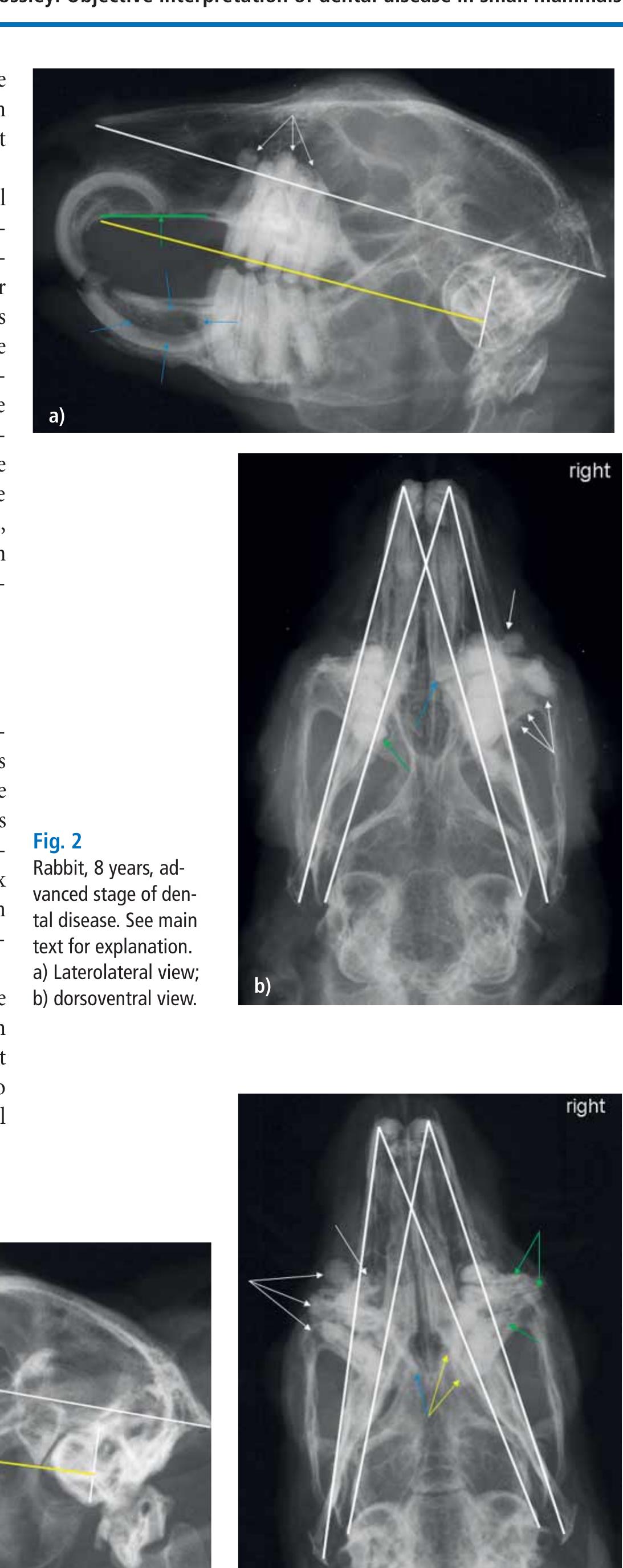 Figure 3 - from Objective interpretation of dental disease