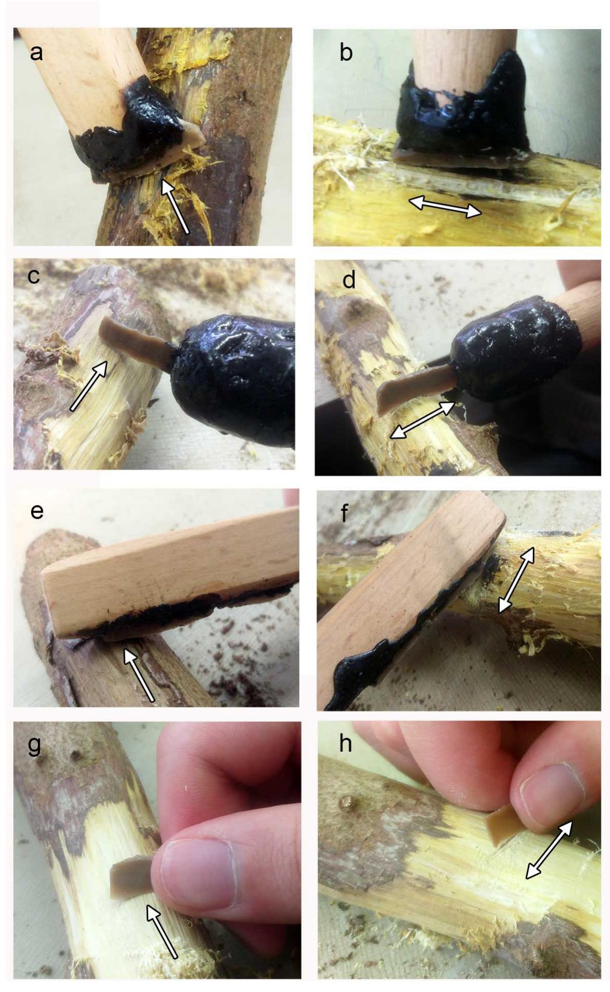 Fig 4. Experiments using various hafting arrangements and hand-held microliths for wood working. (a) Terminal transversal hafting used for shaving bark and wood along the fibers. (b) Terminal-transversal hafting used for cutting wood along the fibers. (c) Terminal-longitudinal hafting used for shaving bark and wood along the fibers. (d) Terminal-longitudinal hafting used for cutting bark and wood perpendicular to the fibers. (e) Lateral-longitudinal hafting used for shaving bark and wood along the fibers. (f) Lateral-longitudinal hafting used for cutting bark and wood perpendicular to the fibers. (g) Hand-held microlith used for shaving bark and wood along the fibers. (h) Hand- held microlith used for sawing bark and wood perpendicular to the fibers. All the tools were used for 1000 strokes. Arrows indicate the direction of motion. 
