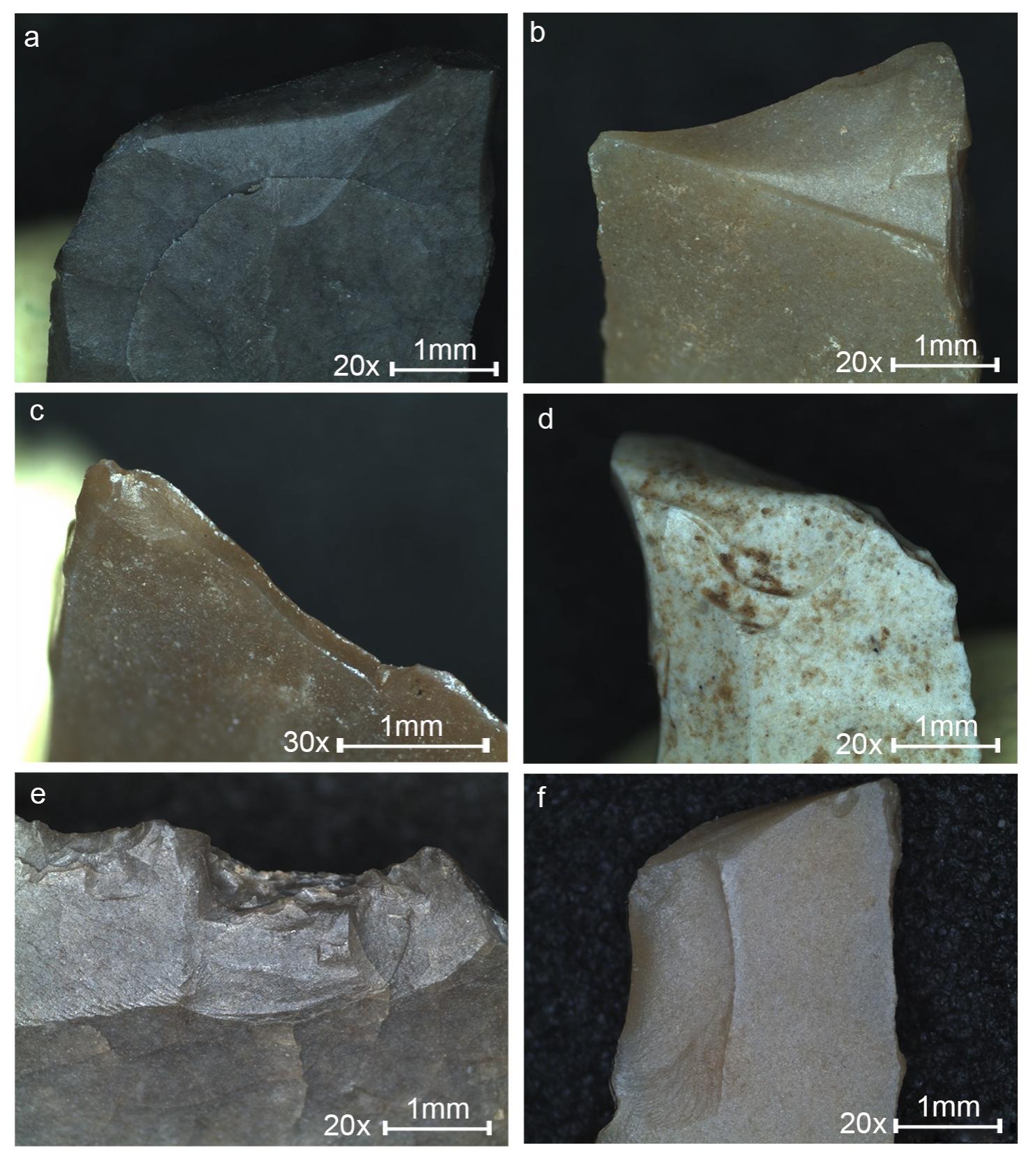 Fig 5. DIFs observed on the ND microliths. (a) Feather terminating bending fracture. (b) Step terminating bending fracture, see also Fig 2 14. (c) Burination, see also Fig 2 12. (d) Hinge terminating bending fracture, see also Fig 2 11.  (e) Crushing, see also Fig 2 30. (f) Spin-off fracture at distal and step terminating bending fracture on left lateral, see also Fig 2 32. Original magnification is indicated near the scale bar. 