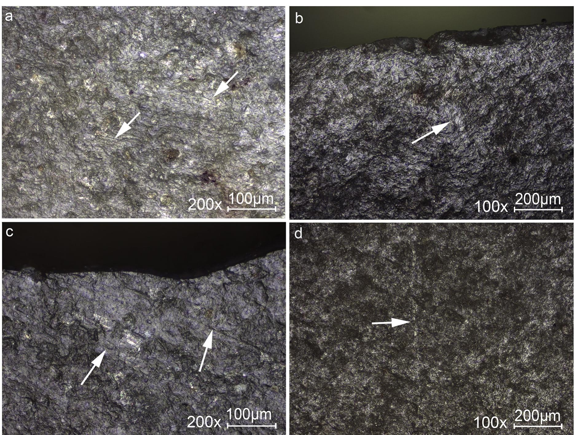 Fig 6. Micrographs showing linear traces associated with DIFs. (a) A cluster of fine striations, see also Fig 2 3 for the location of the traces on the tool. (b) Isolated sterea, see also Fig 2 19 for the location of the traces on the tool. (c) Striations extending oblique to a burination DIF, see also Fig 2 12 for the location of the traces on the tool. (d) Isolated streak of polish extending away from the impact fracture, see also Fig 2 20 for the location of the traces on the tool. Original magnification is indicated near the scale bar.  