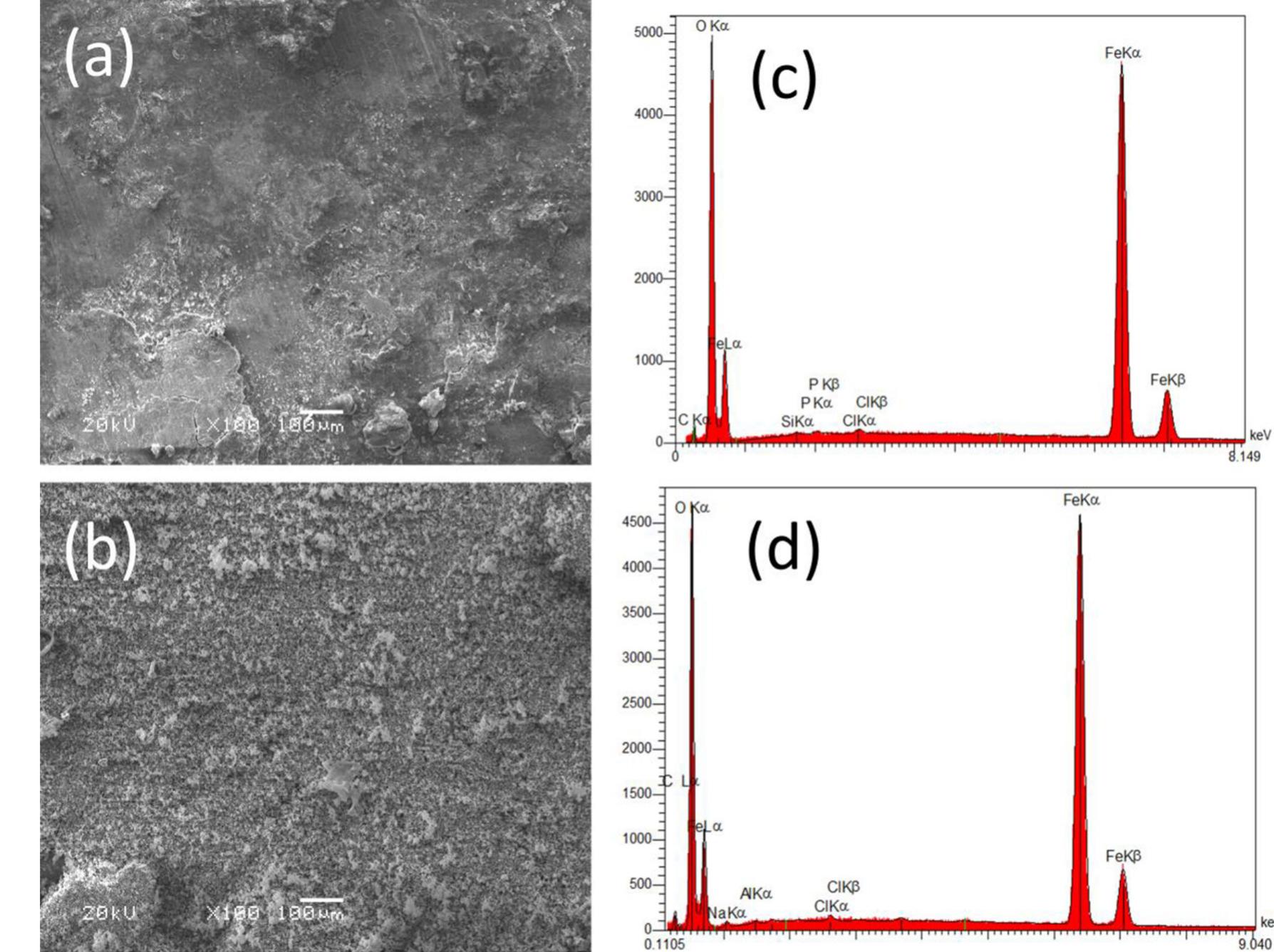 Fig. 6. Scanning electron microscope (SEM/EDS) observation of the surface of the two steels after 10 days of immersion in 3% NaCl. (a) Photograph of latched steel; (b) Photograph of smooth steel; (c) EDS specter for latched steel; (d) EDS specter for smooth steel. 