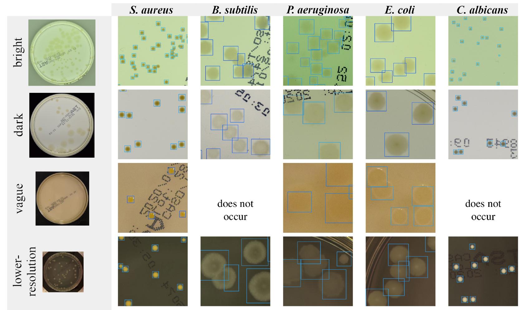 Heatmaps of all annotations at one picture for