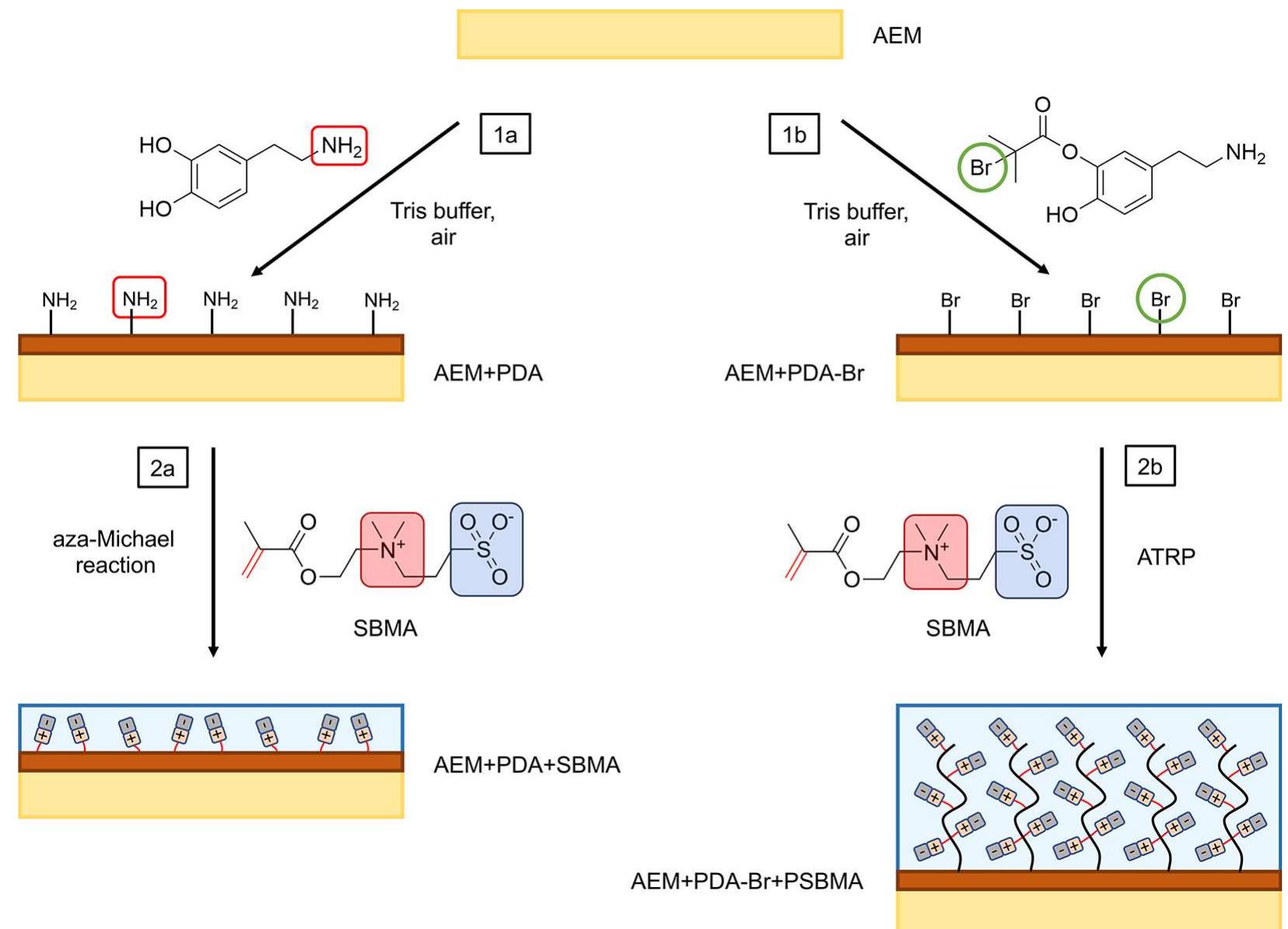 Figure 1 - from Tailoring the Surface Chemistry of Anion