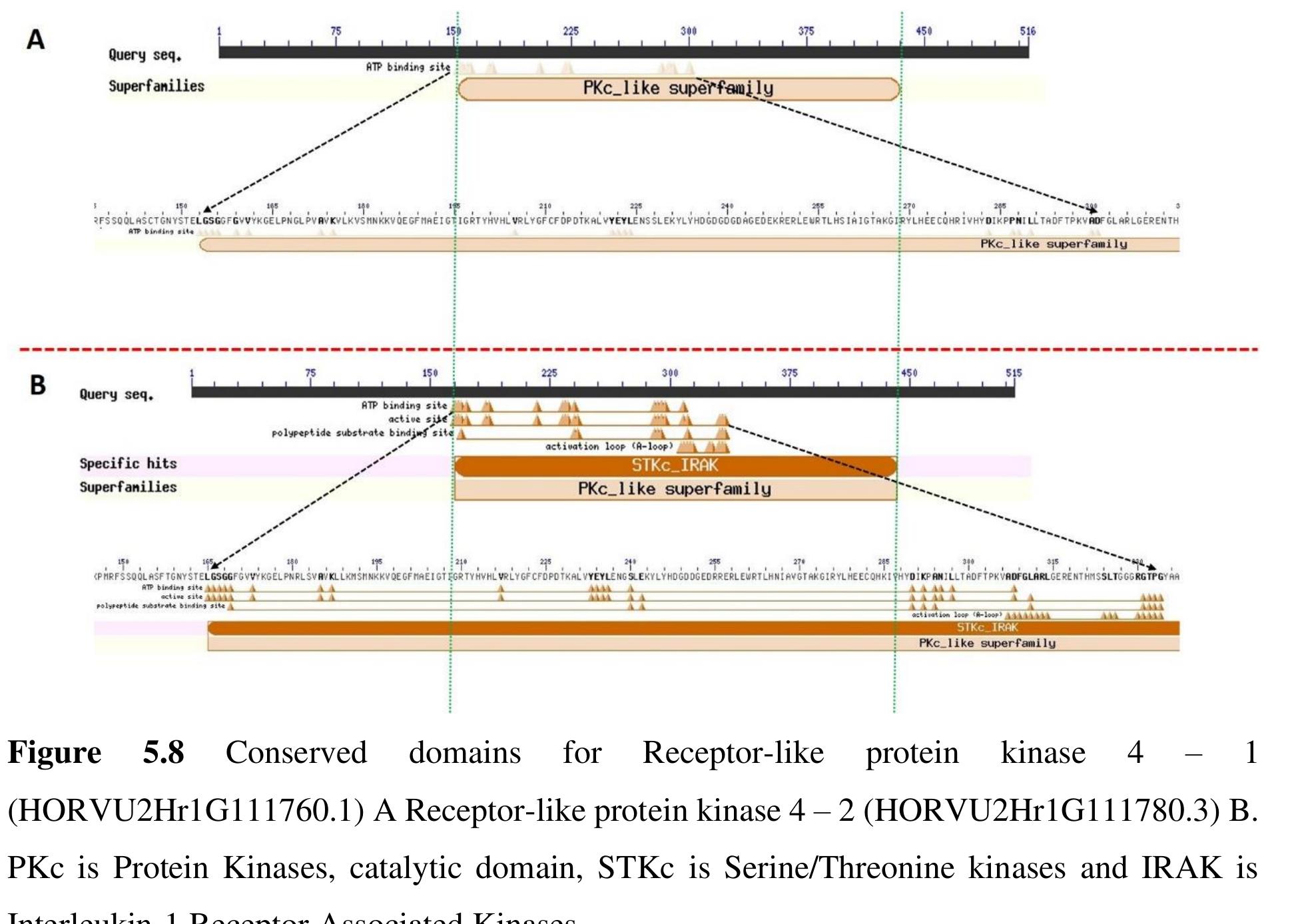 The red dotted line is the boundary between the two genes