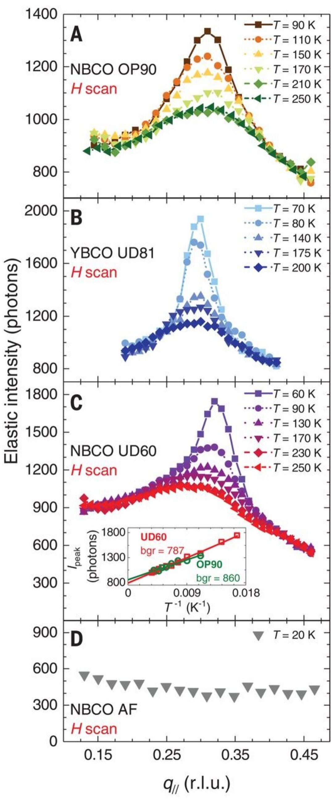 (PDF) Dynamic charge density fluctuations pervading the phase diagram ...