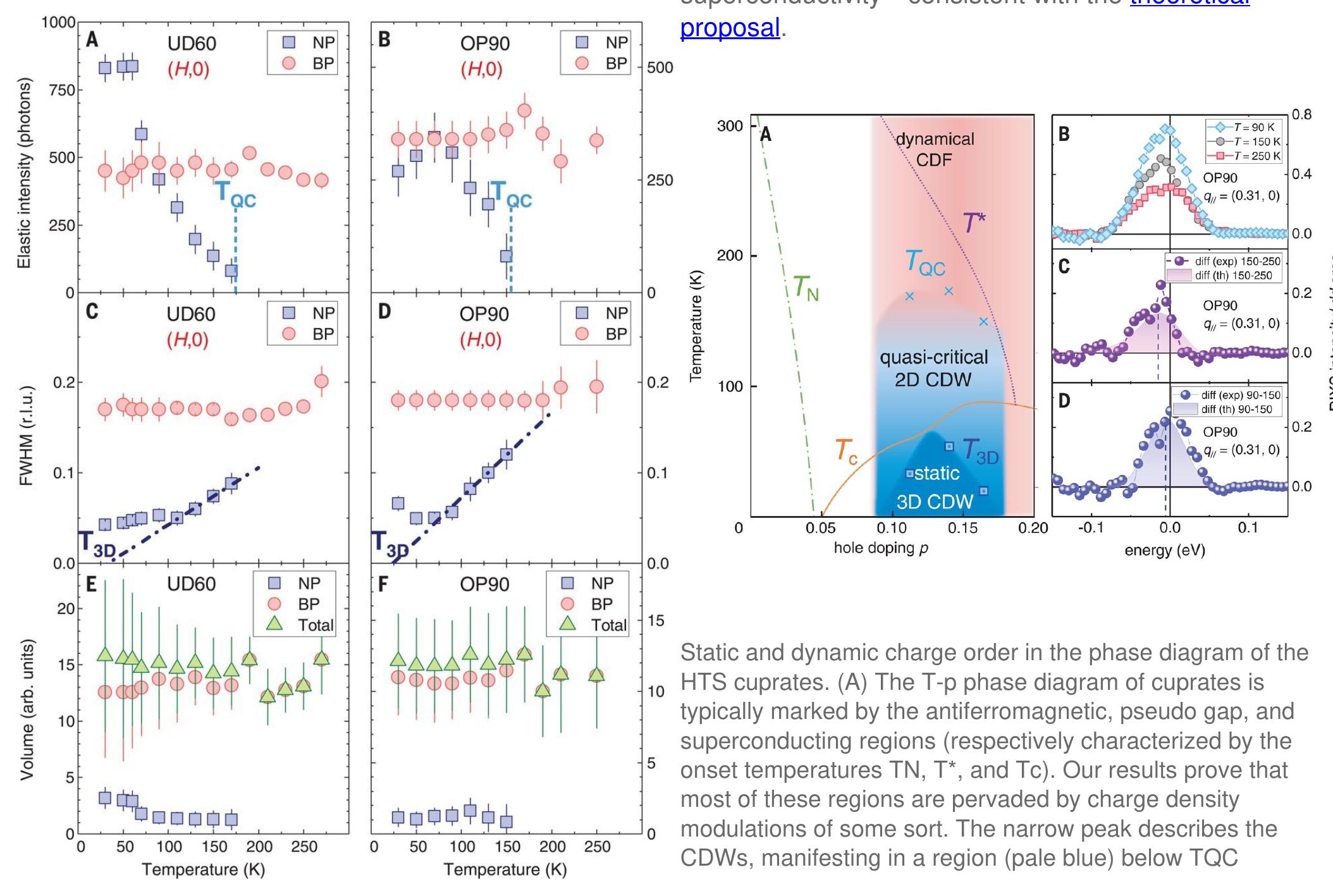 (PDF) Dynamic charge density fluctuations pervading the phase diagram ...