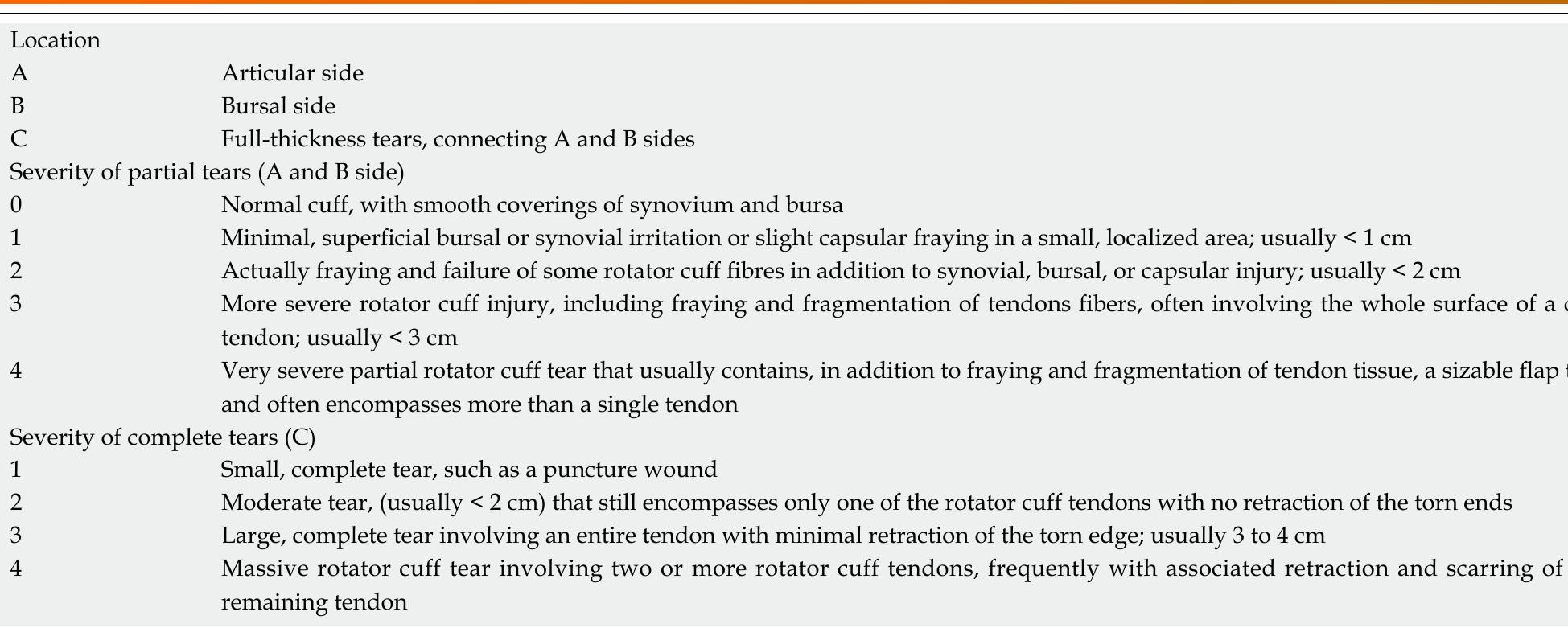 Table 1 - from Reporting rotator cuff tears on magnetic
