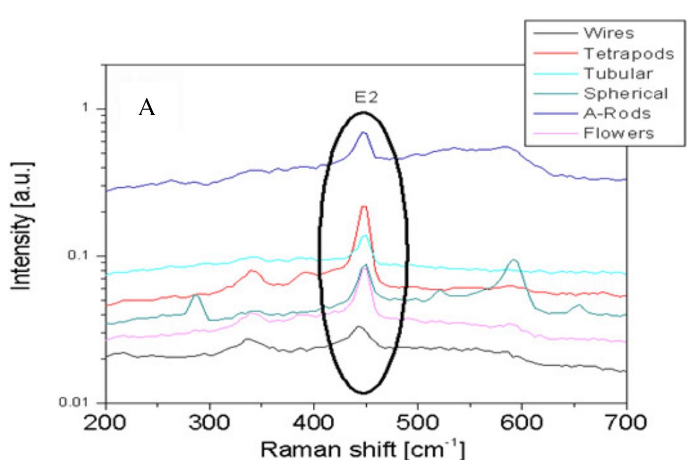 (PDF) Raman Spectroscopic Study of the ZnO Nanostructures