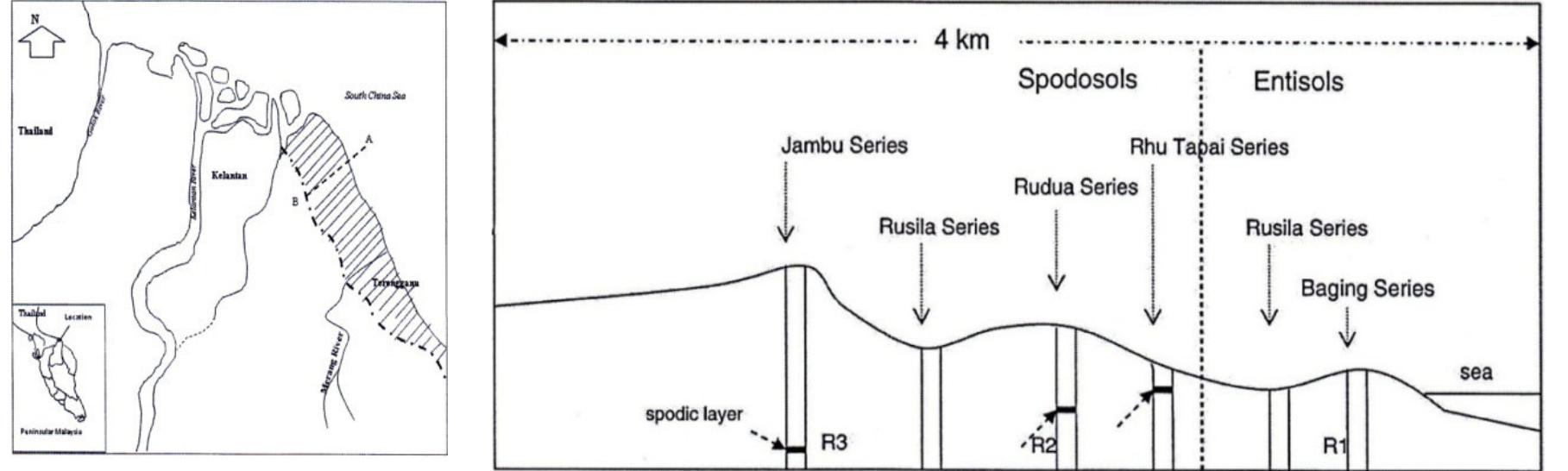 Figure 4 - from Bris Soil Suitability Assessment on Sweet