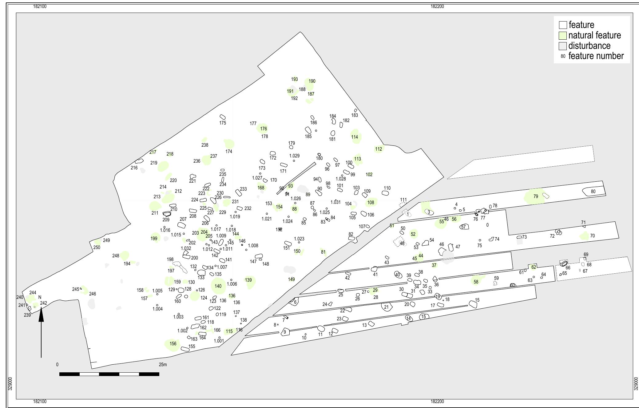 Fig. 6.7 Site plan (derived from digitised original field drawings).  As noted earlier, some graves seem to be paired, which led Van de Velde to assume that related adults or partners were buried in each other’s vicinity. Based on his analysis and the paired graves, Van de Velde found direct and indirect evidence for the determination of 38 male graves and 33 female graves (Fig. 3.q).74 Attempts were made to distinguish children’s graves, but proved to be unsatisfactory, and the conclusion was drawn that child burials are not marked in any way by grave goods.”© One of the main problems was that it could not be established, due to the absence of bones, if any children were buried at all at the burial ground. By comparing the Elsloo burials with the burial grounds of Niedermerz”® and later also Flomborn?” Van de Velde demonstrated local and regional variability.7@  As mentioned, the burial ground was excavated during two campaigns, seven years apart. Each campaign had its own local coordinate system, and an effort was made by the excavating team to merge both systems during the last campaign in order to provide an overview of the complete excavation. When these field drawings were digitised on behalf of the Elsloo project, we noticed that something probably went wrong when the drawings were merged and edited for the final publication. There turned out to bea 1.5 - 2.5 m wide gap, 70 m long (Fig. 6.7), which separates the 1959 campaign from the 1966 campaign. This part of the terrain has never been excavated and could possibly yield some more graves. In 1959 the crew excavated a certain stretch of land as far as could be done or was available. The edge of this patch was taken as a starting point for the 1966 campaign. 