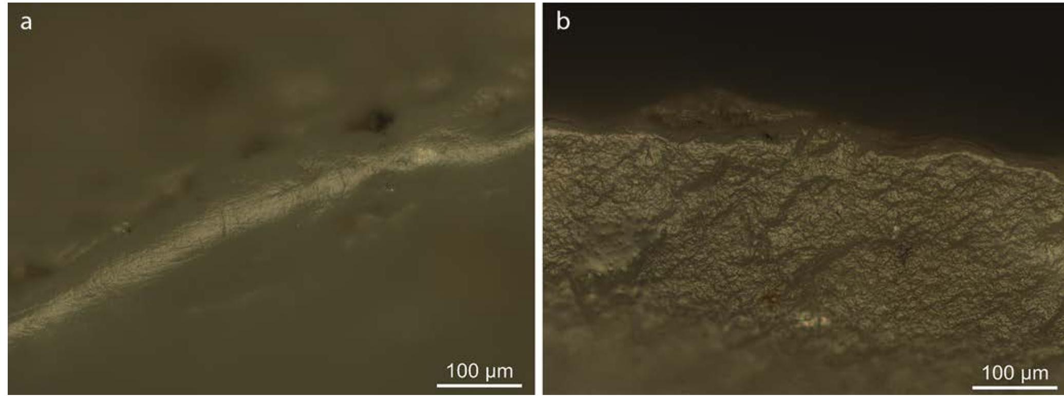 Fig. 9.1 Wear traces seen on the points made by metallographic microscope. a) Grinding traces on the barb of find nr. 509.14; b) Polish displaying features from contact with both hide and soft plant material, tentatively interpreted as being the results of contact with bast, seen on find nr. 765.13. 