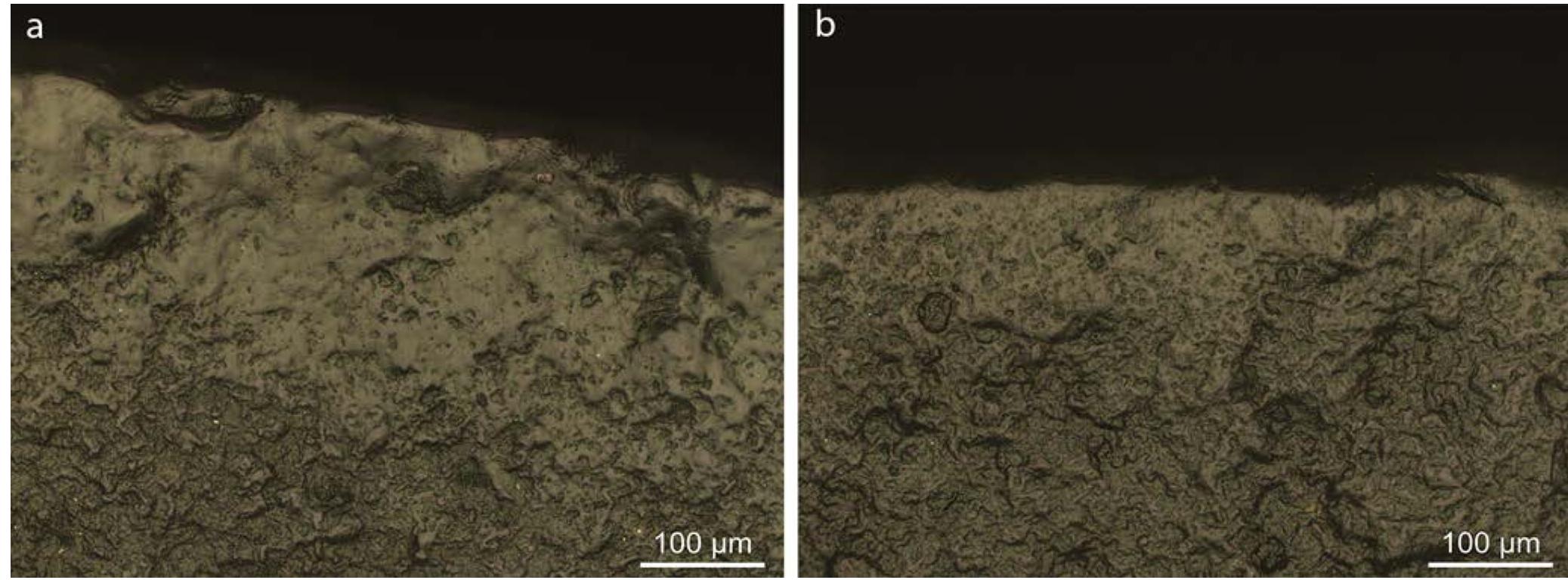 ig. 9.2 ‘Polish 23’ seen on find nr. 765.15/1. a) The smooth aspect of this enigmatic polish type; b) The rough side (picture made by metallographi nicroscope). 