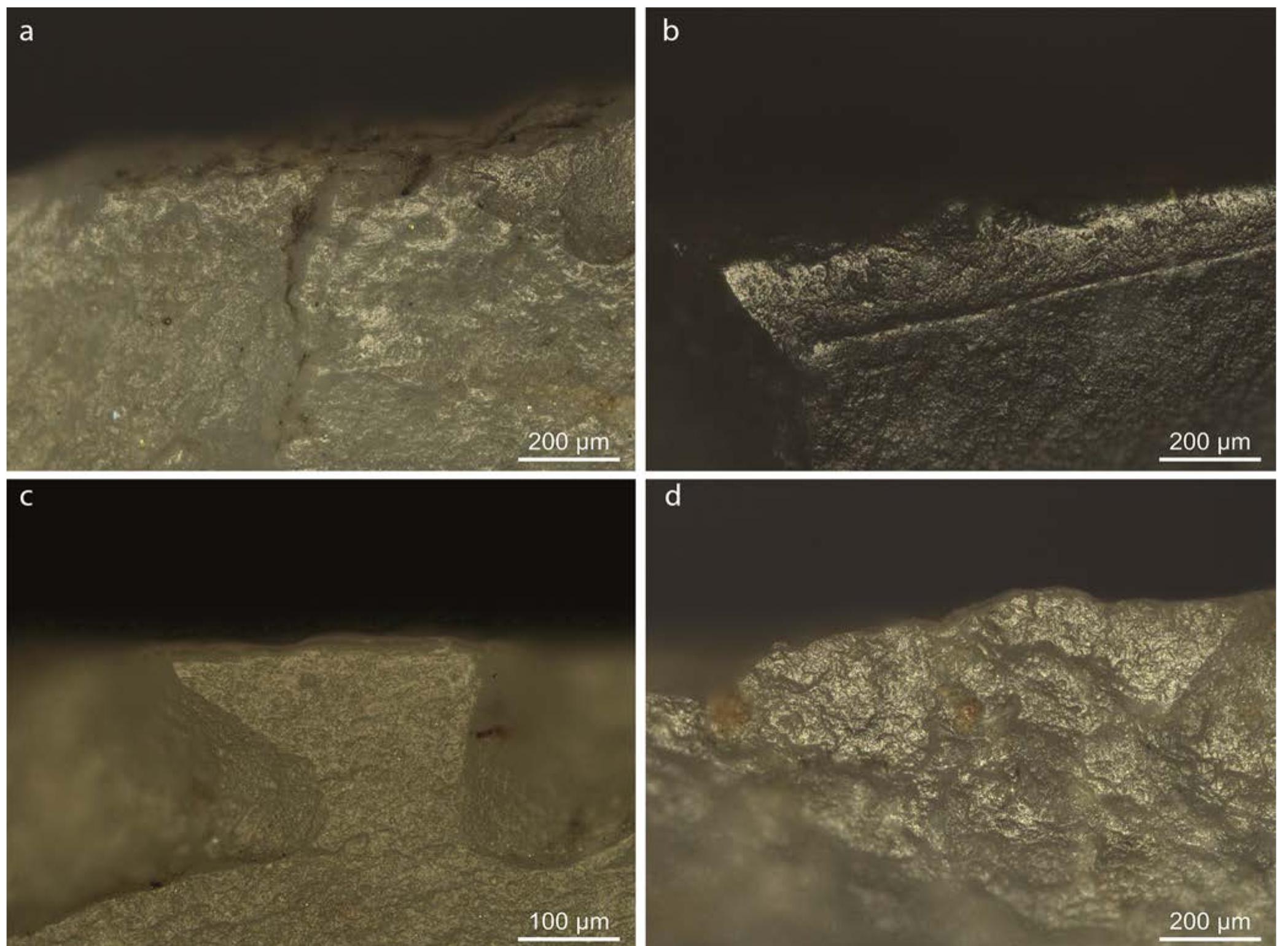 ig. 9.3 Traces seen on blades examined by metallographic microscope. a) Traces interpreted as being the result of cutting a soft mineral material seen on ind number 518.13; b) Possible hafting or handling traces seen on 765.15/1; c) Traces from contact with a soft mineral material seen on number 765.15/2; d) olish displaying features from contact with both hide and soft plant material, tentatively interpreted as being the results of contact with bast, seen on fin TT. 830.2. 