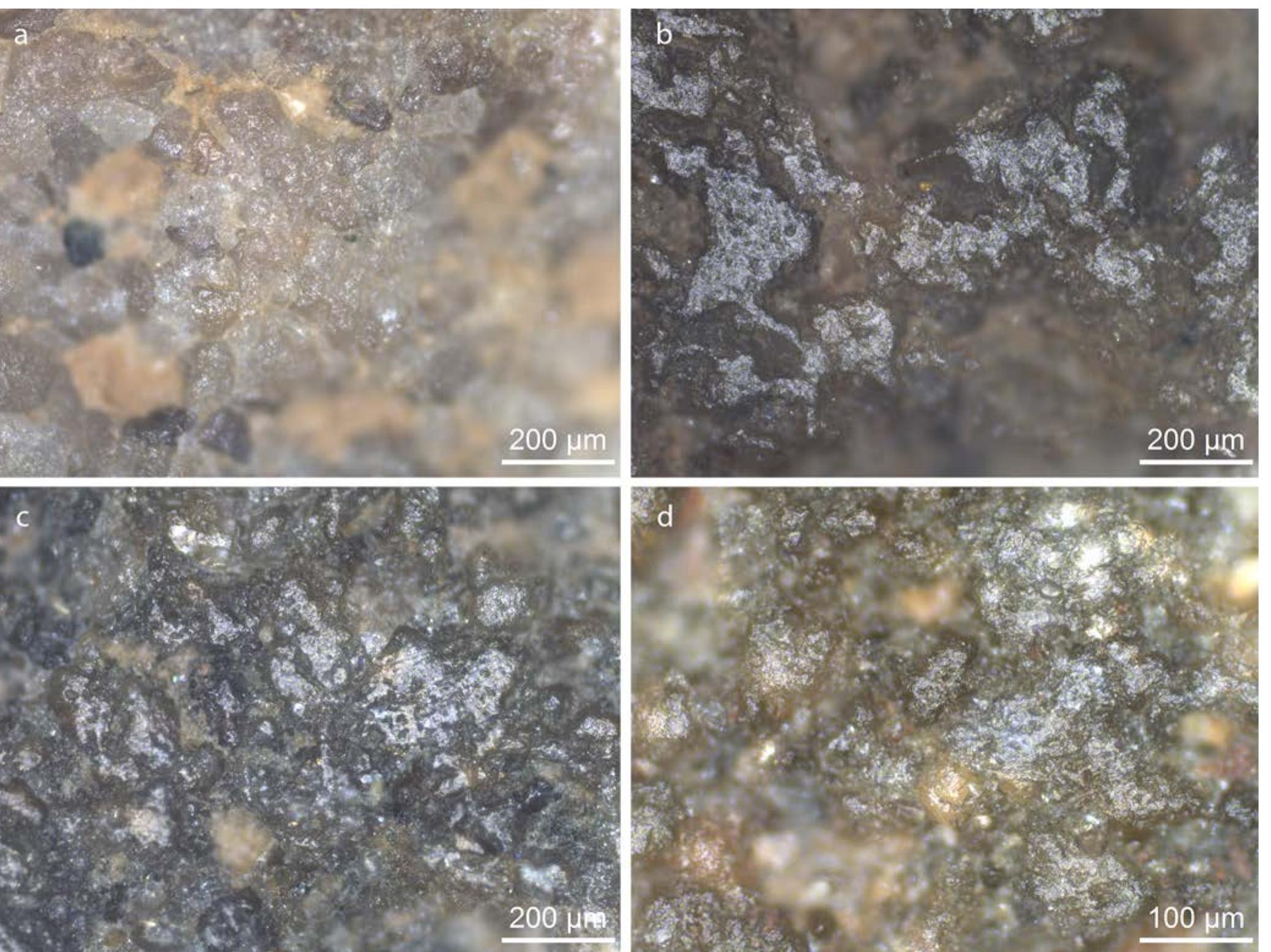 Fig. 9.4 Traces seen on querns documented by metallographic microscope. a) Polish interpreted as being the result of grinding cereals, seen on find nr. 707.1; b) Polish visible on the bottom of querns, related to the friction between the stone and the surface the quern was placed on (like a piece of cloth or leather) and the ground flour, seen on find nr. 773.12; c) ‘Stone on stone’ polish seen on find number 514.31; d) Polish from prolonged handling of a quert seen on find nr. 514.31. 