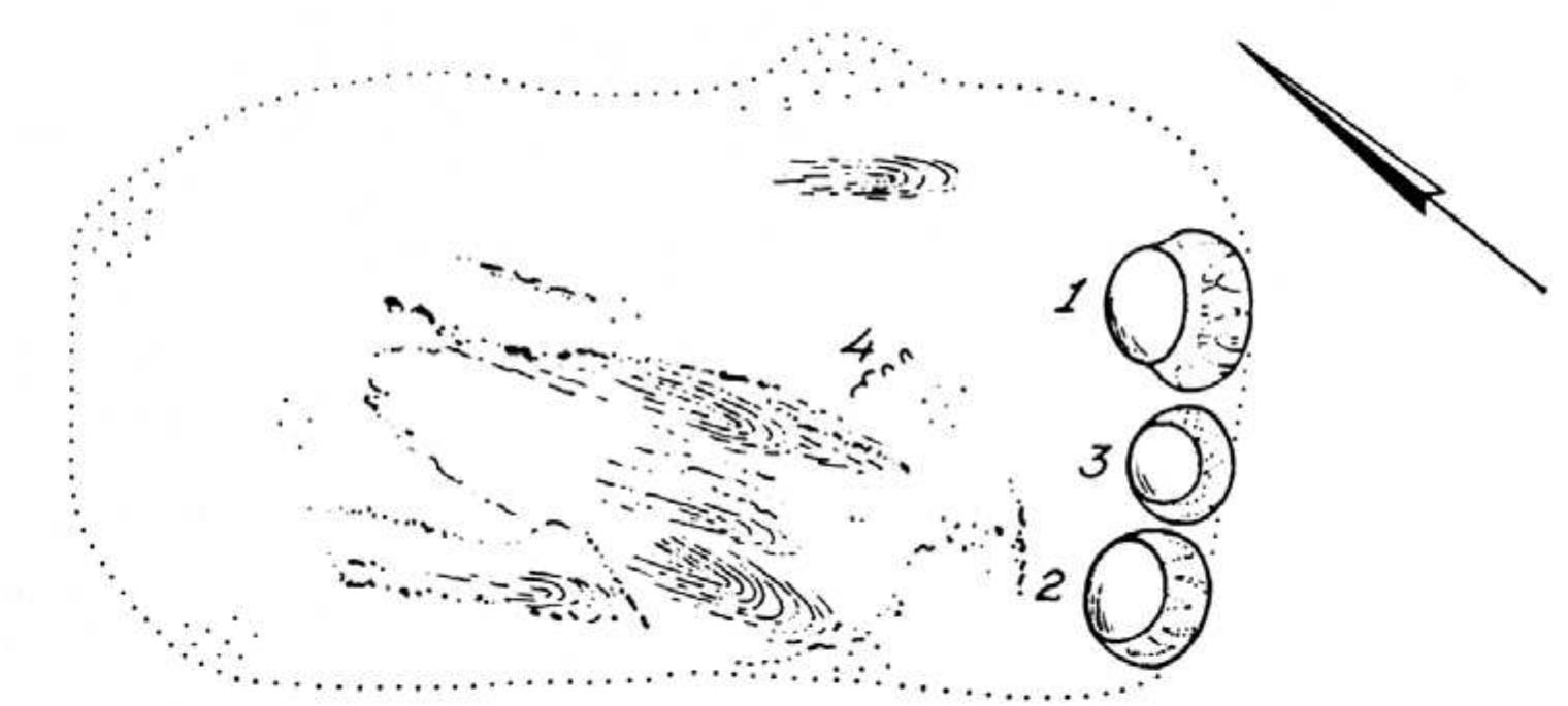 Fig. 10.4 Plan of the bottom of grave 96 (source: Modderman 1970, tafel 154).  Miave of \Ieariipie we ot] In the top of the fill of inhumation grave 84a  large concentration of charcoal was discovered. A sample yielded 36.565 g of residue (M-57, find nr. 775.1), of which 0.37 g in the largest sieve fraction. On the basis of the determined charcoal, only one type of wood is present. The 