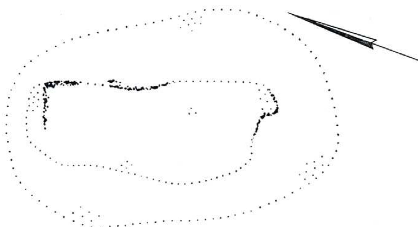 Fig. 10.5 Plan of the bottom of grave 98 (source: Modderman 1970, tafel 156). 