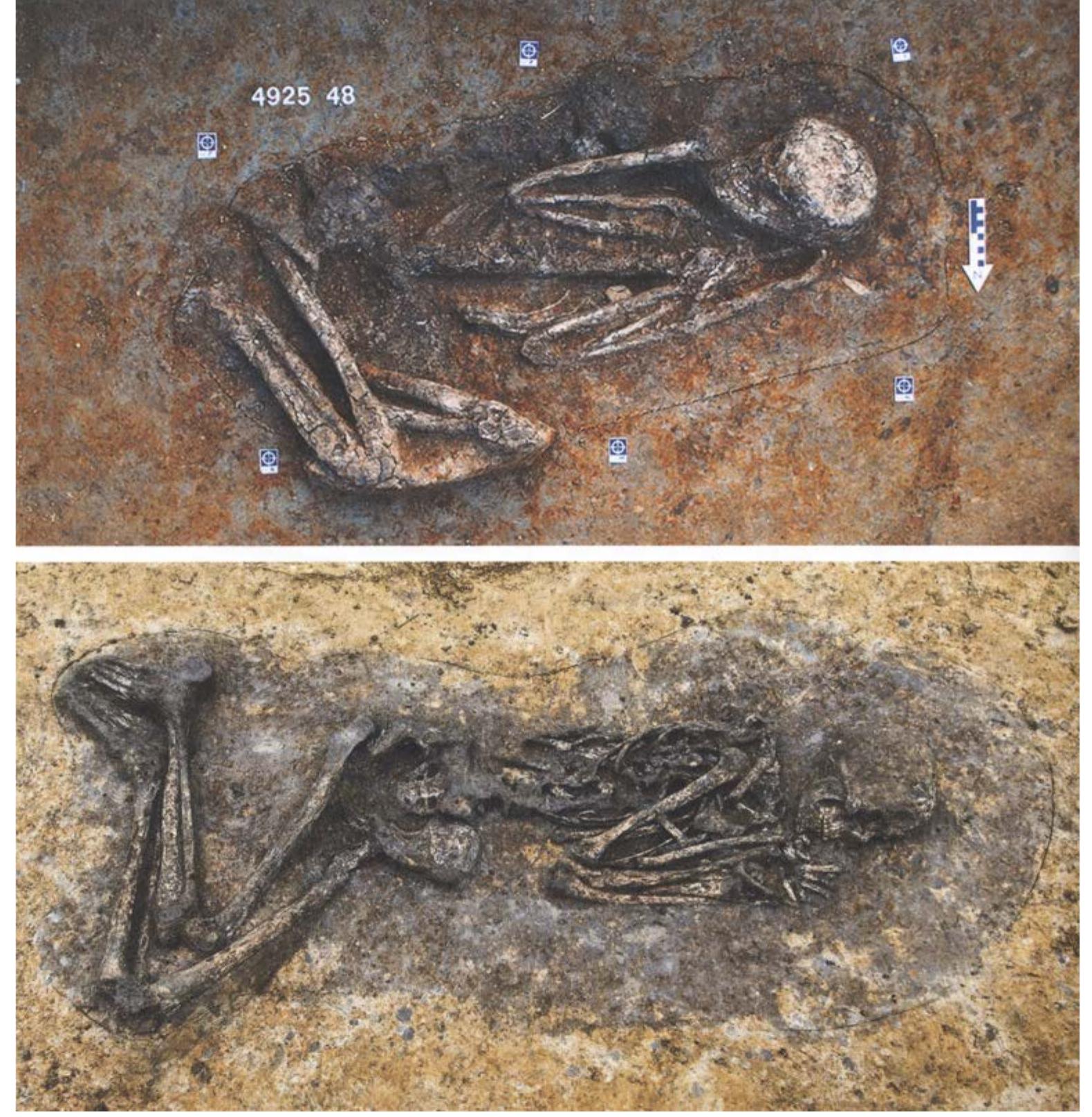 Fig. II.1 Double burial (top) of a neonate and an adult in crouched position and single burial (bottom) of an adult woman in crouched position (source: Cziesla et al. 2010, Fig. 5 and 6). 