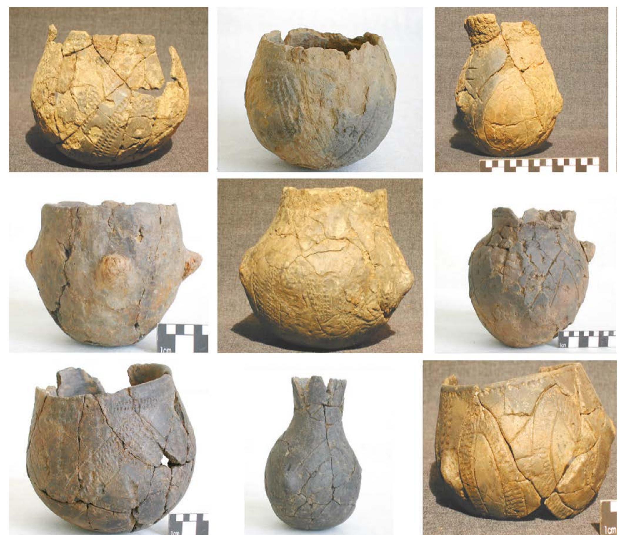 a a  From 2000 until 2001 large-scale excavations took place near the town of Inden- Altdorf, which is situated in the Niederrheinische Bucht.” The sites are located on the eastern edge of the Aldenhovener Platte within the fertile loess zone, which stretches between Cologne and Aachen. The burial ground itself lay ona hill that stood out only slightly from its surroundings on the edge of the Altdorfer Talchen, a dry valley which eventually merges  The burial ground spans an area of 116 by 53 m (6400 m?) and consists of 176 features of which 120 are burials: 118 inhumation graves and two cremation graves (Fig. II.6). Some of these graves were disturbed by marl pits. Due to the decalcified soil, no skeletal remains were preserved apart from tooth enamel, which was found in fourteen graves. No body shadows were found either, despite appropriate excavation techniques.” This is probably due to the shallow depth of the graves (max. 55 cm)  Fig. II.7 Decorated and undecorated vessels (restored) from the Inden-Altdorf graves (source: Heller 2014). 