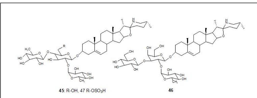 Solasonine Figure 11 - from Natural and Synthetic Derivatives of the