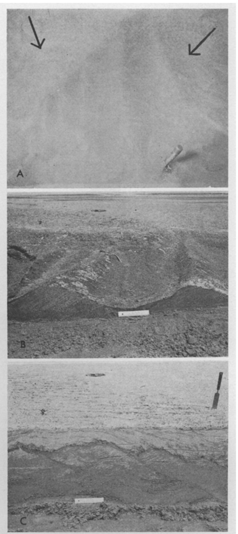 (PDF) Some sedimentological aspects of planar cross-stratification in a ...