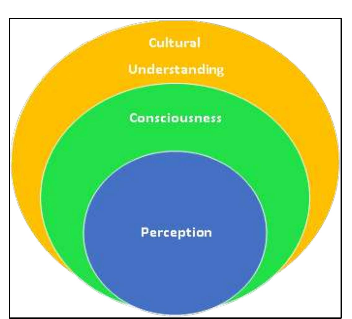 (PDF) Phenomenological Synthesis of Cultural Understanding Among Senior ...