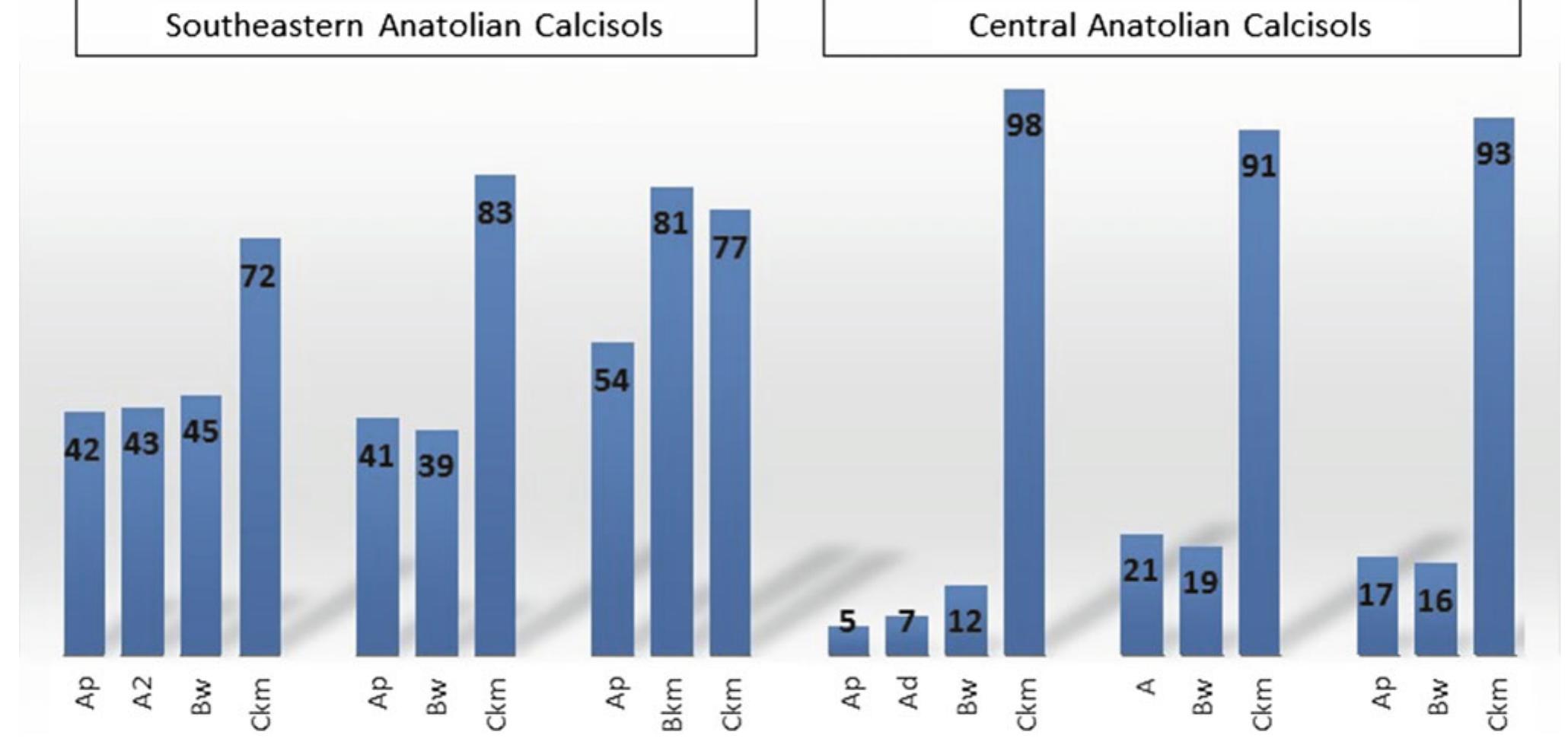 (PDF) Calcisols and Leptosols