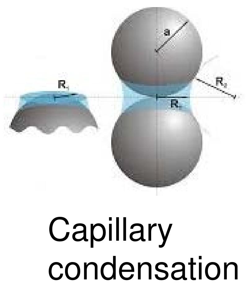 Figure 4 - Brunauer-Emmett-Teller (BET) surface area