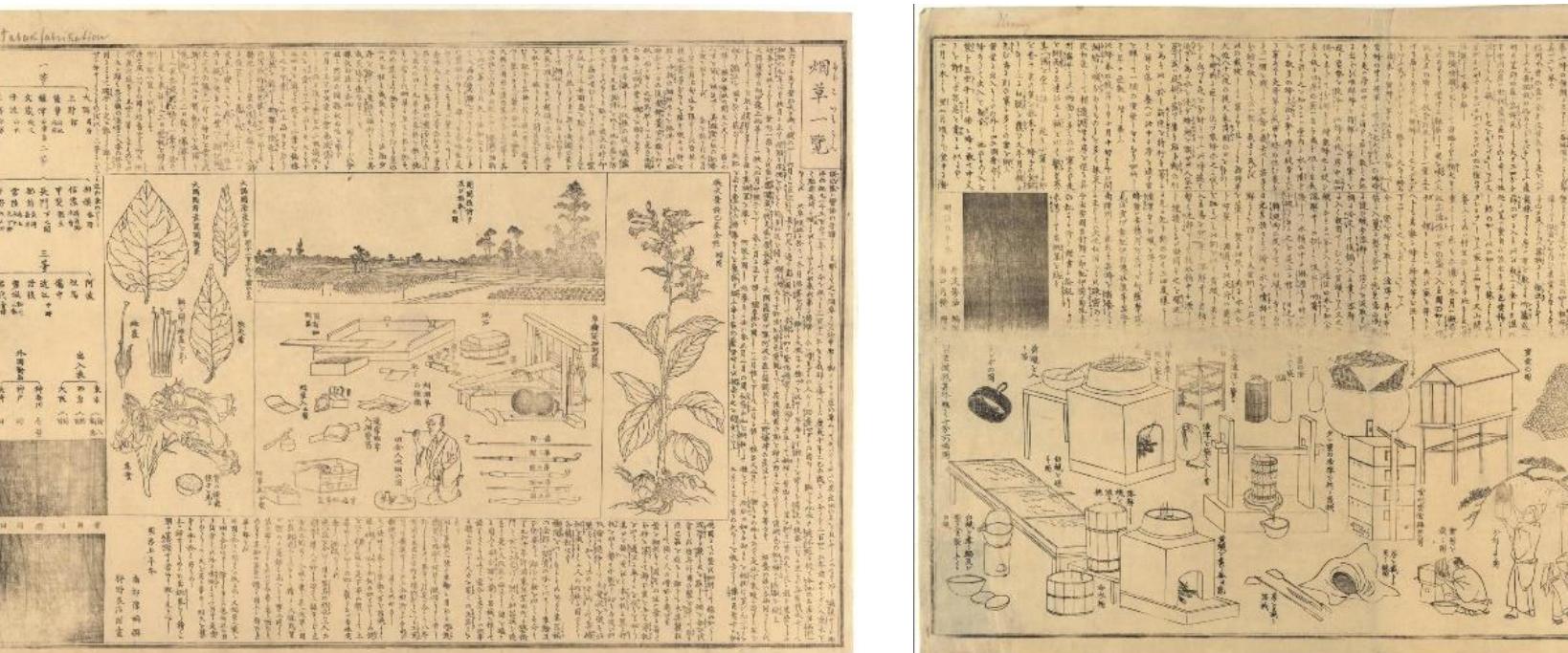 サーフィン・ボディボード INAMURA CLASSIC INVITATION 2000 MINAMI 超小波でブーグスキムサーフィン ボディボード ロングボード 小波で