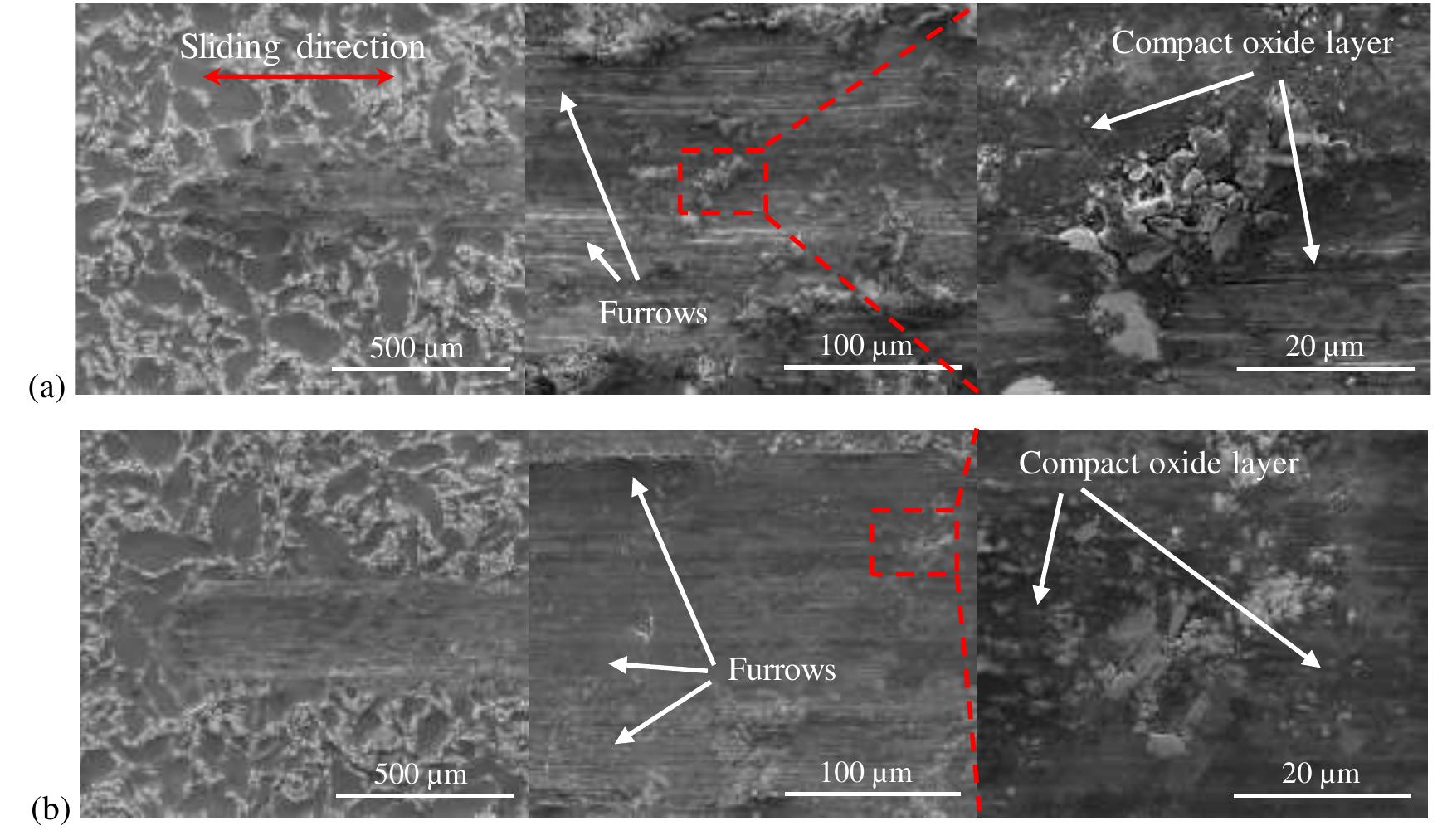Sem Plouging Image Example Shows the sem images of the wear scar generated on the mg