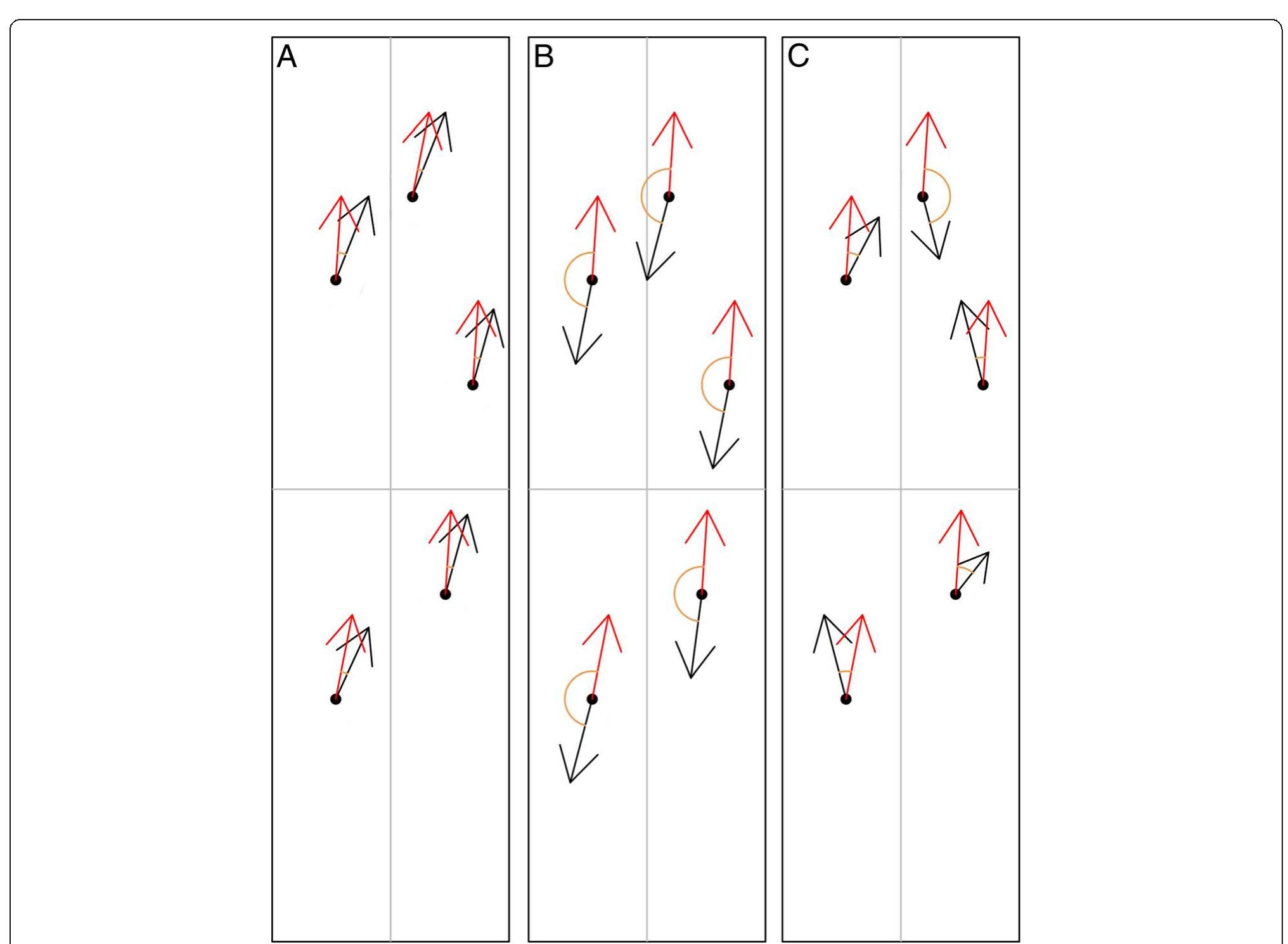 Visual representation of variable importance. vectors are