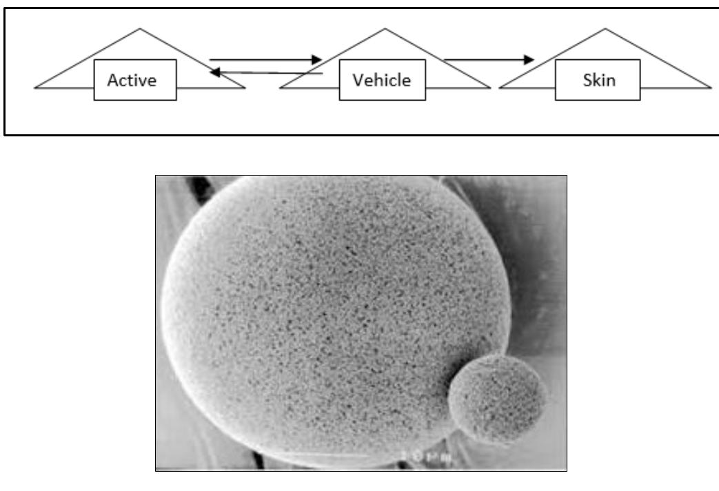 (PDF) Microsponges: As a drug delivery system