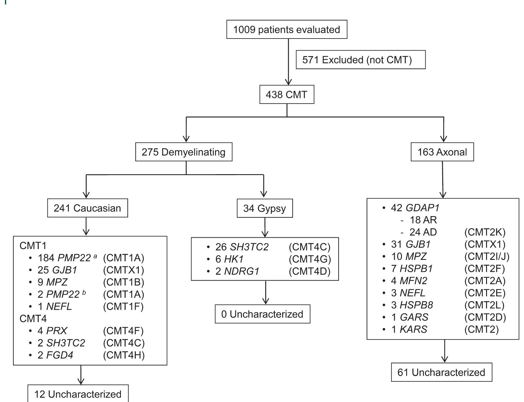(PDF) Charcot-Marie-Tooth disease: Genetic and clinical spectrum in a ...