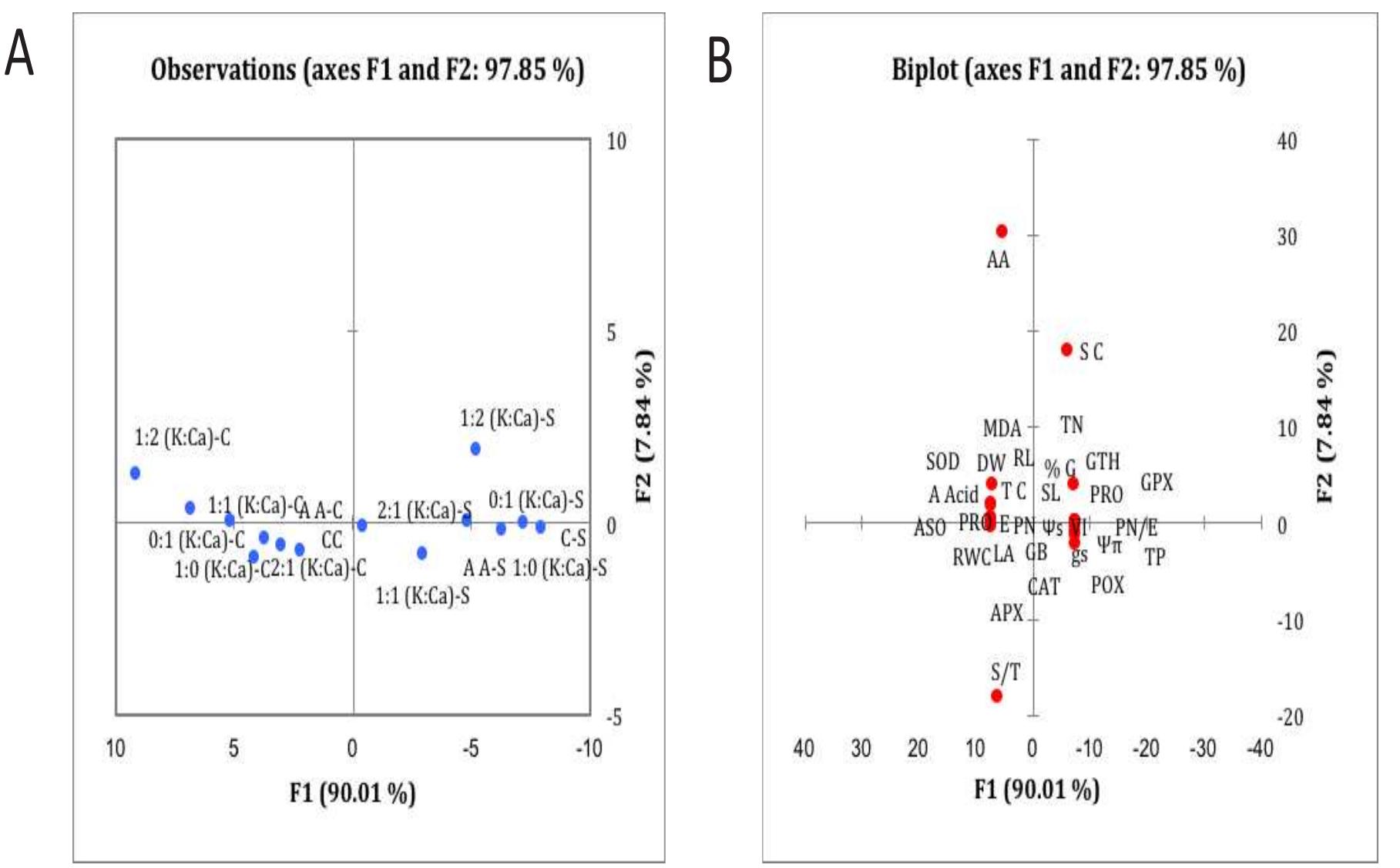 Figure 1 - from Differential effects of some ascorbates on