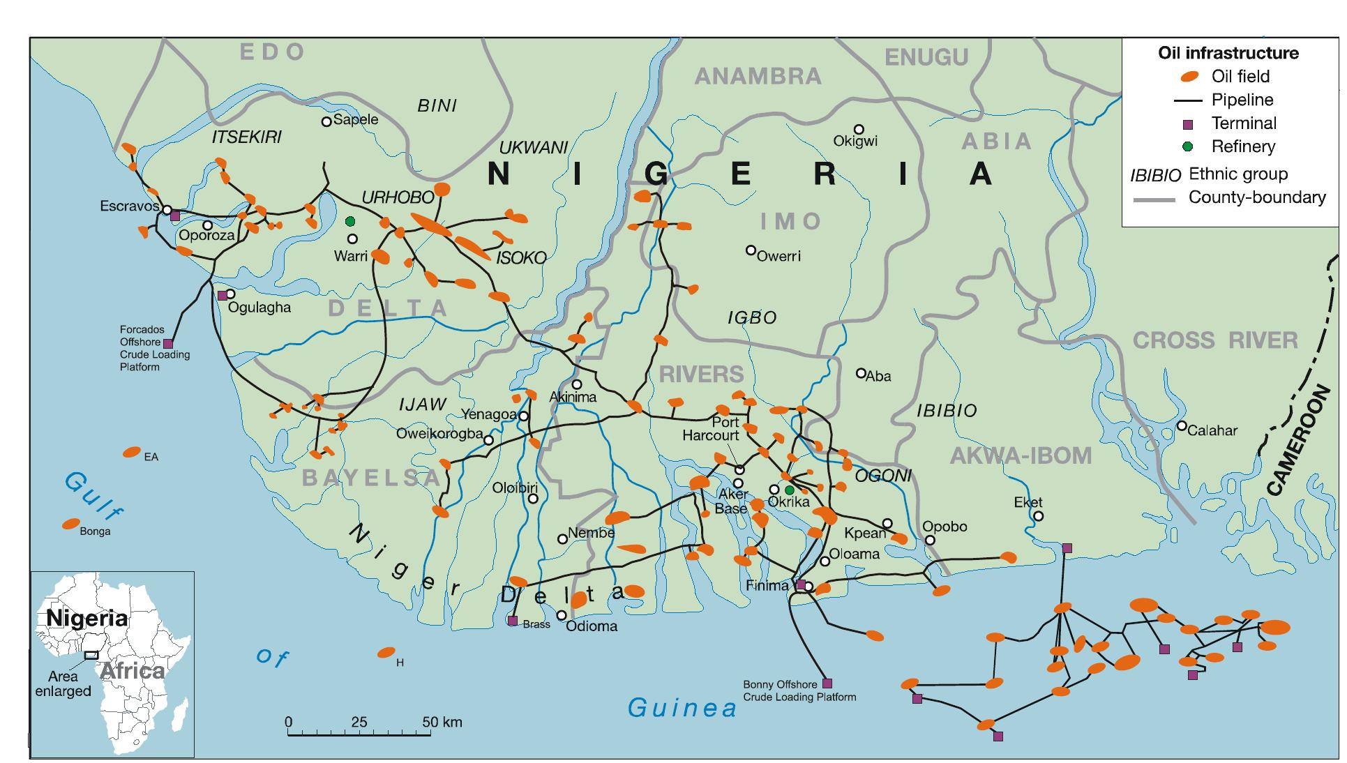 Fig. 2: Niger Delta oil infrastruction 