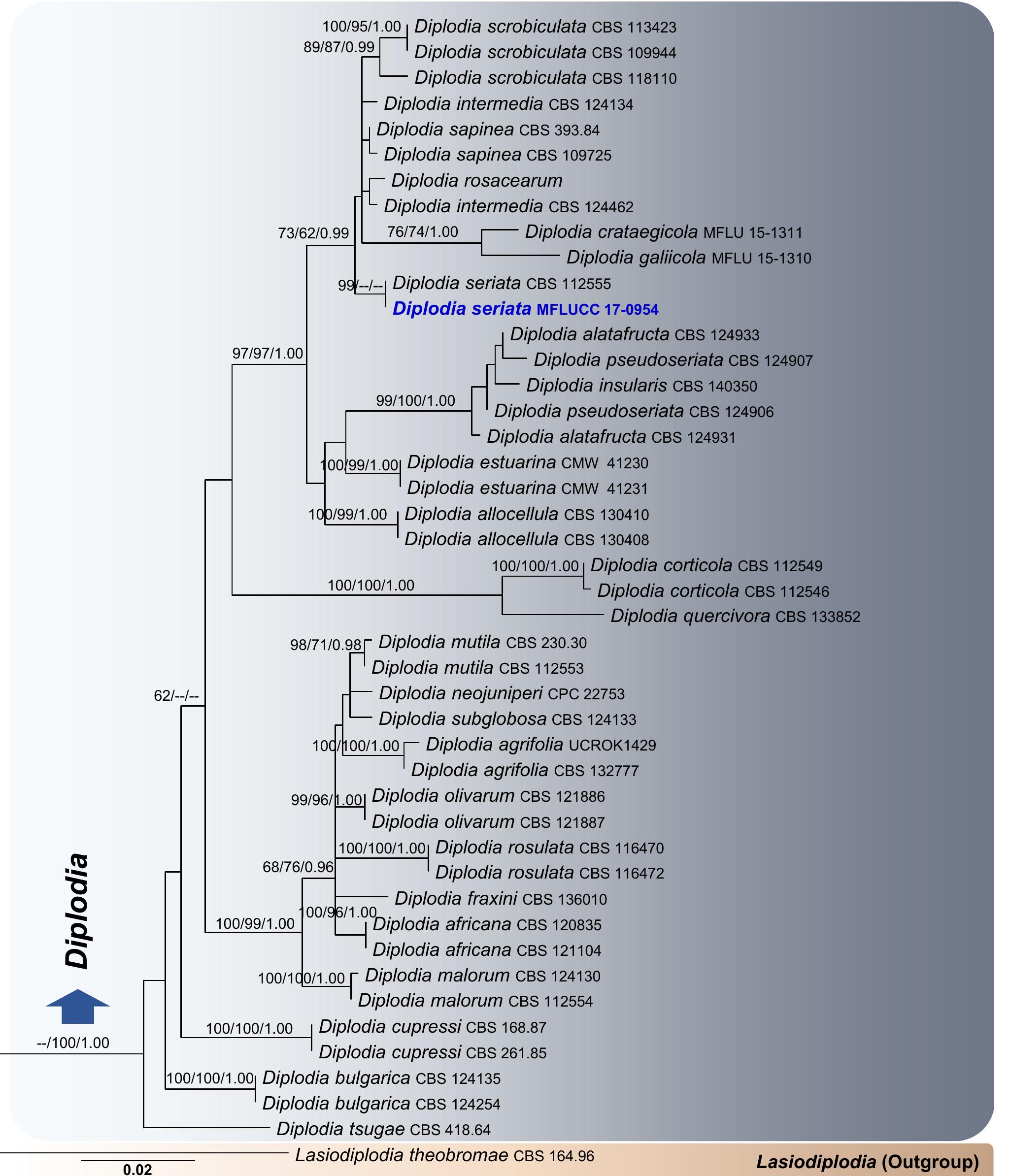 PDF) Fungal diversity notes 709–839: taxonomic and