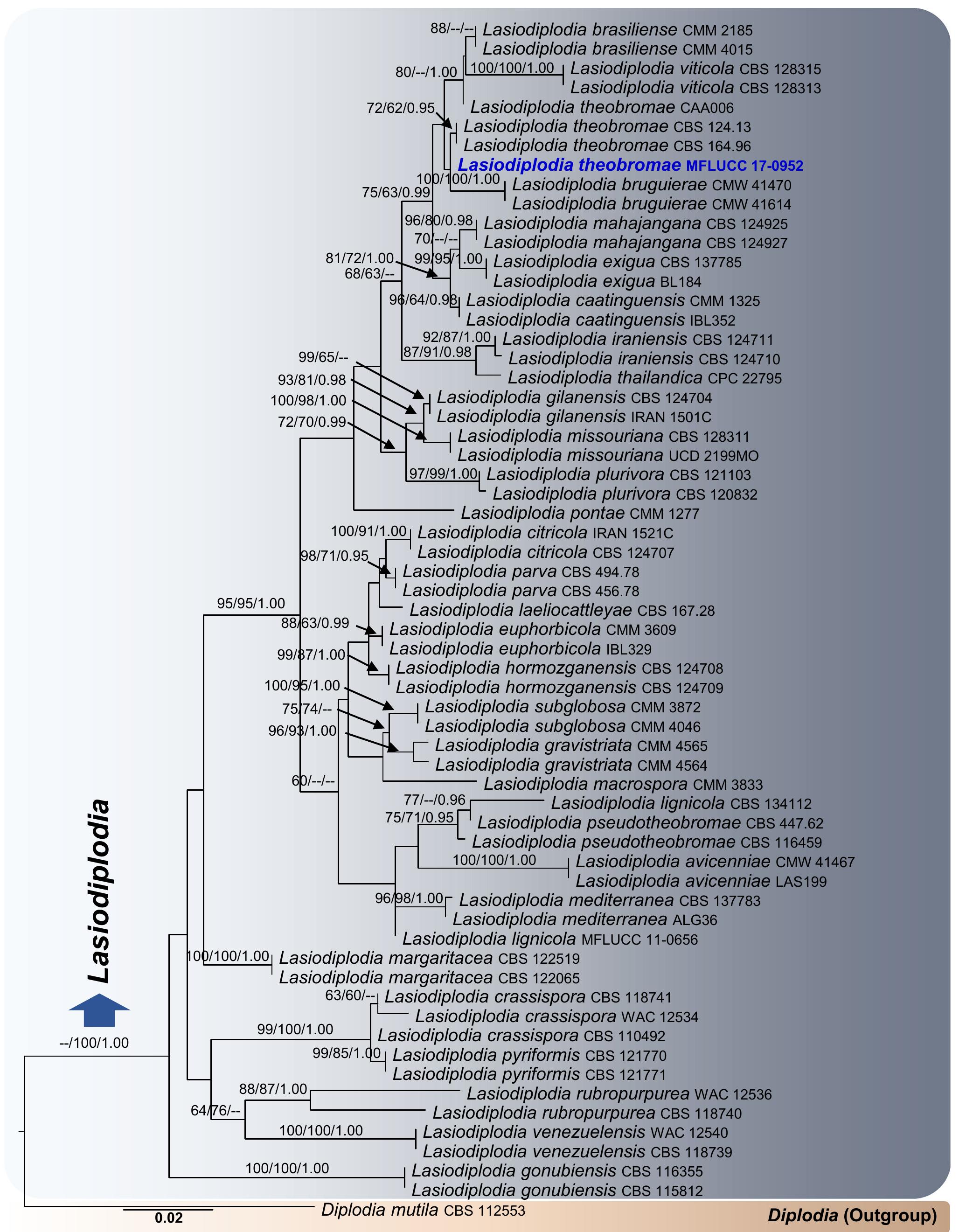 PDF) Fungal diversity notes 709–839: taxonomic and phylogenetic